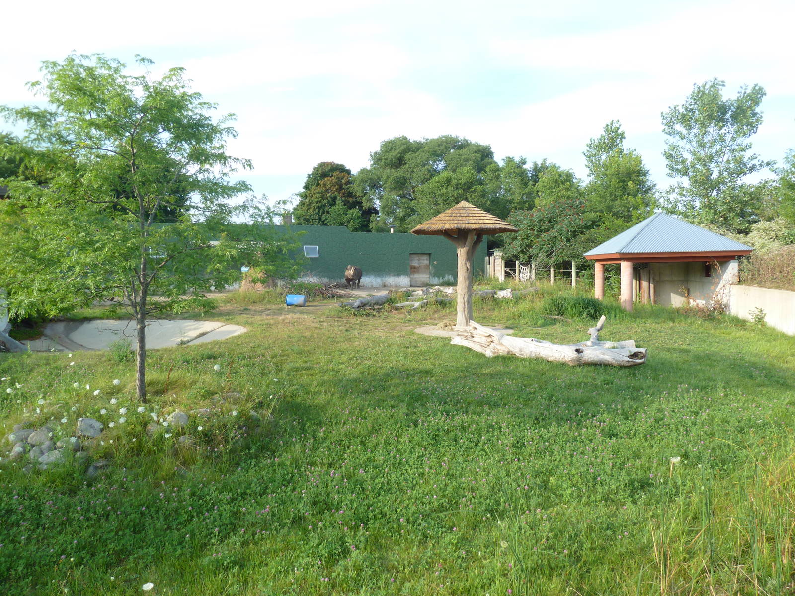 Land of the Giants - Black Rhino Exhibit