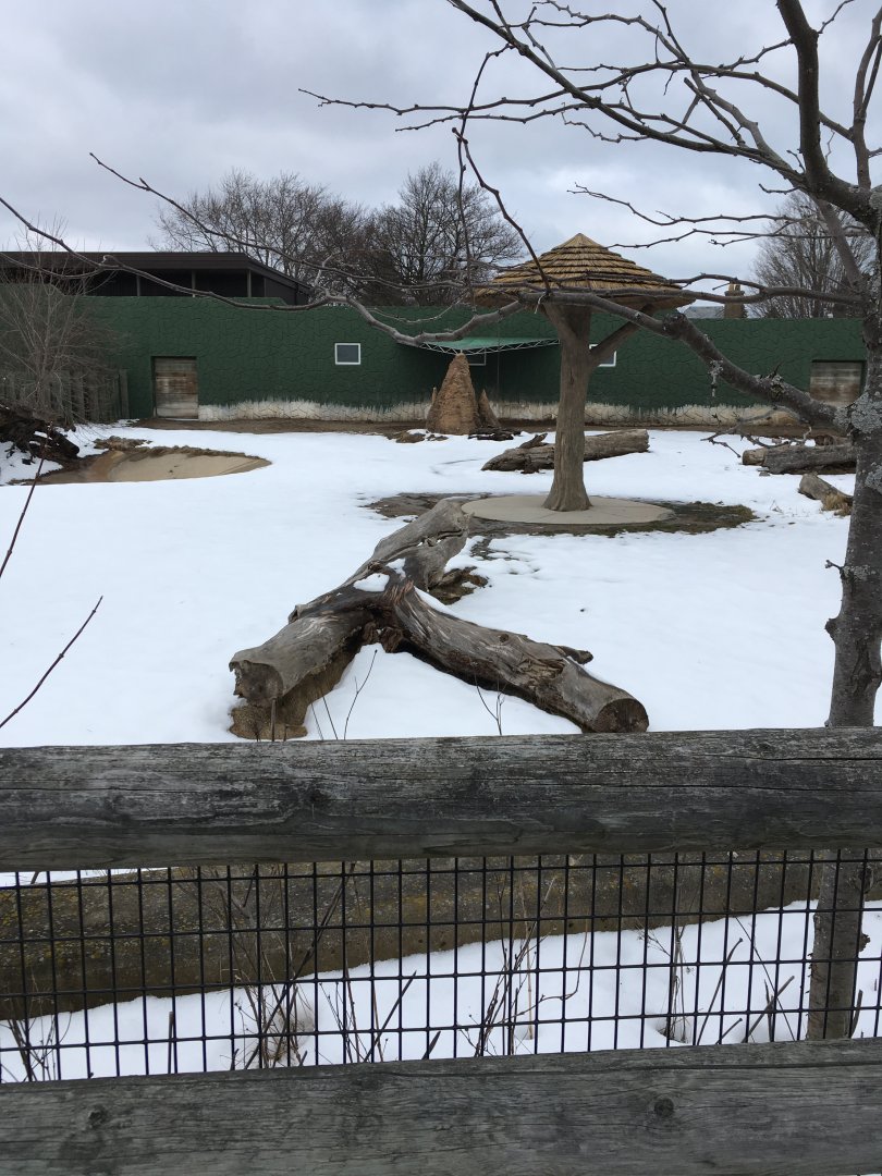 Land of the Giants - Black Rhino Exhibit