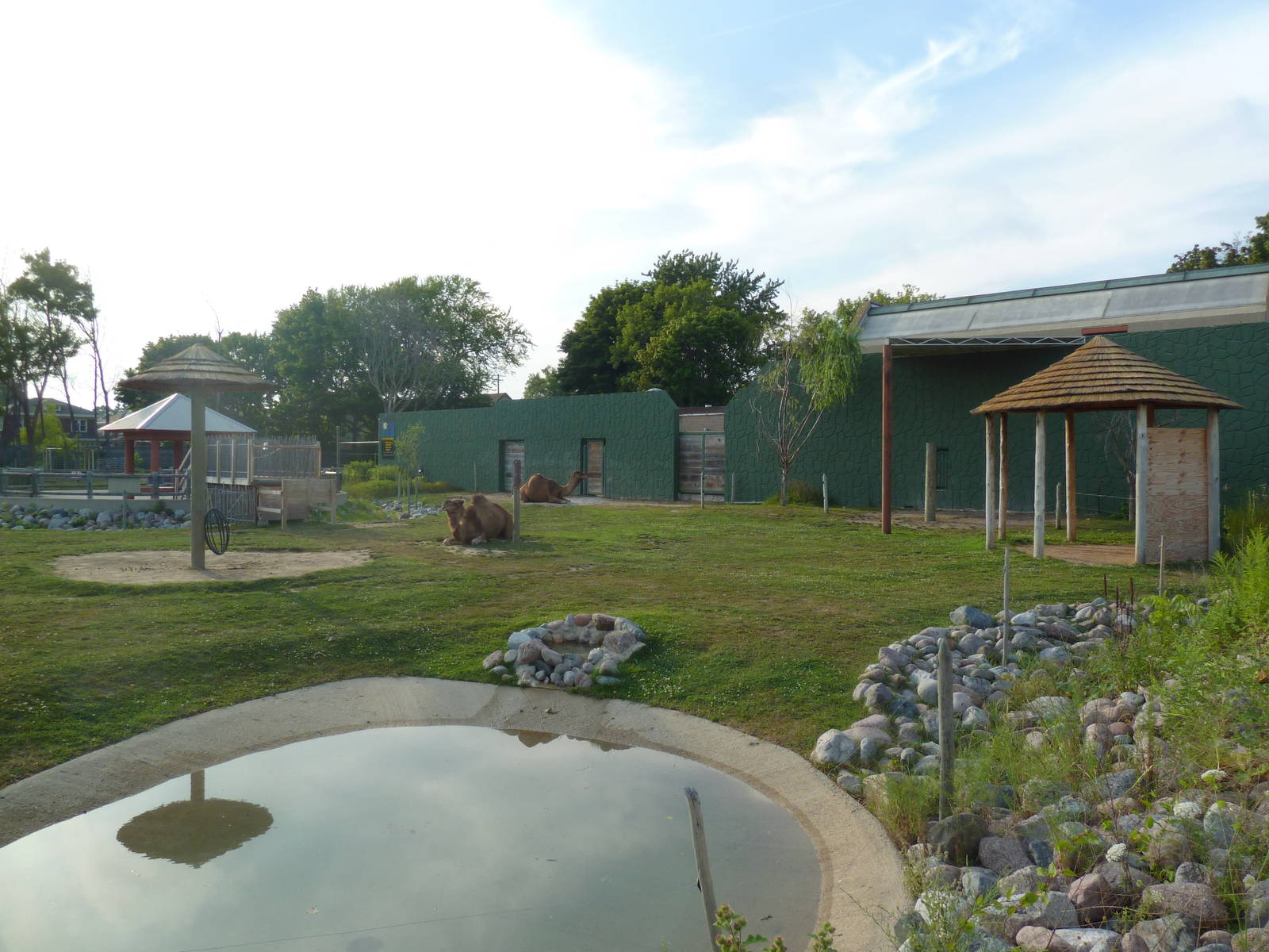 Land of the Giants - Dromedary Exhibit