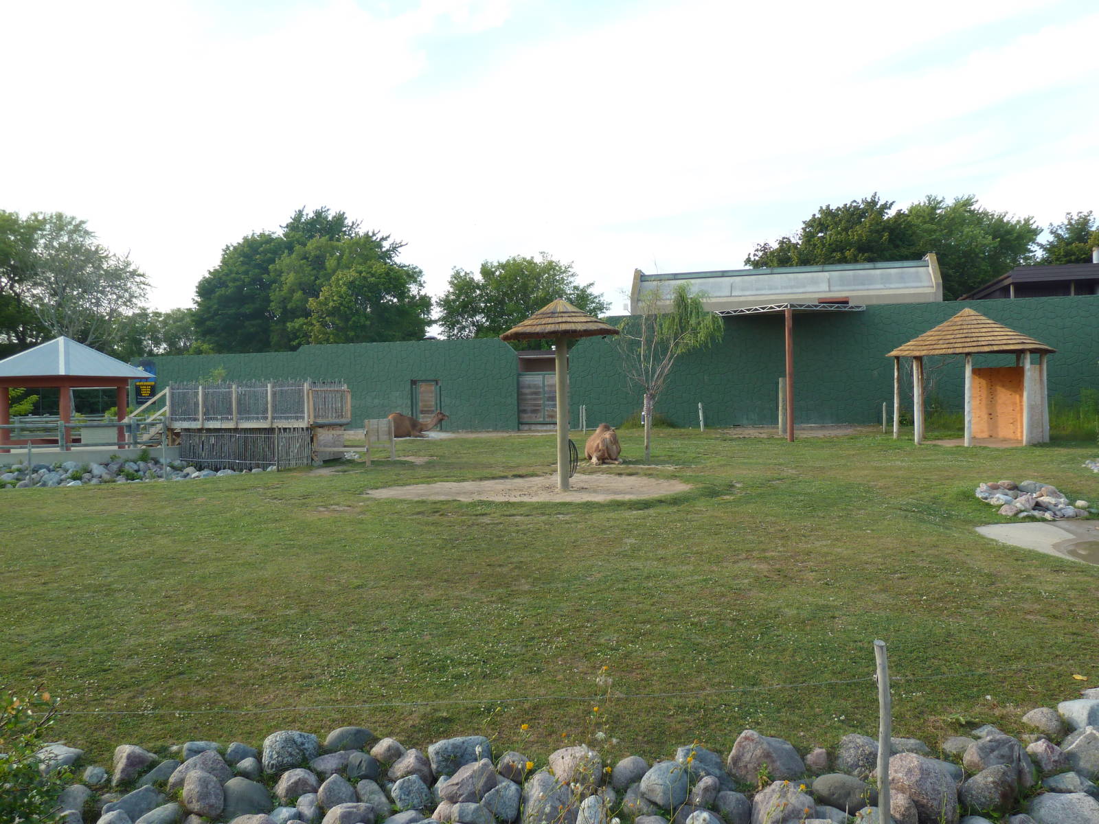 Land of the Giants - Dromedary Exhibit