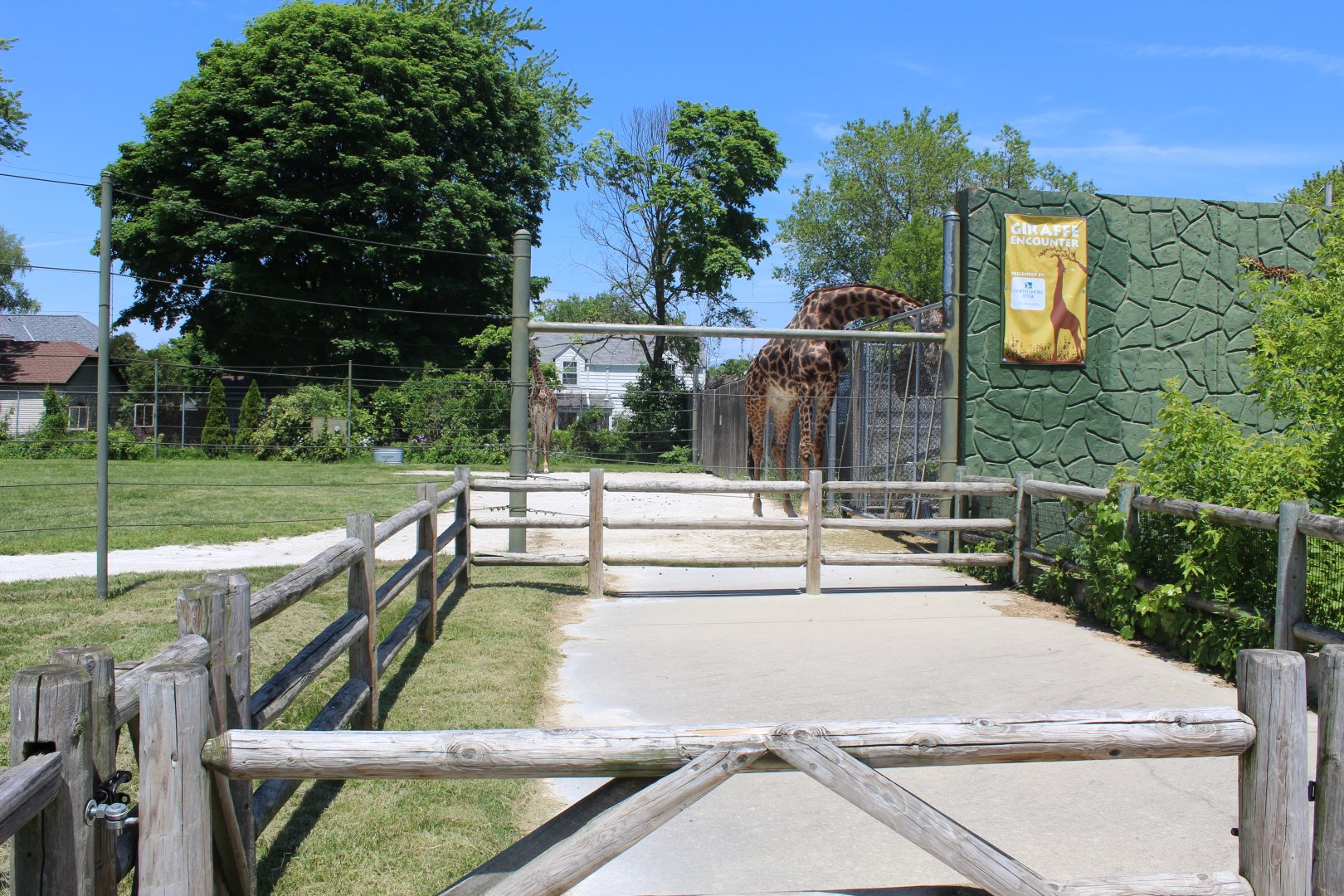 Land of the Giants - Giraffe Feeding Area