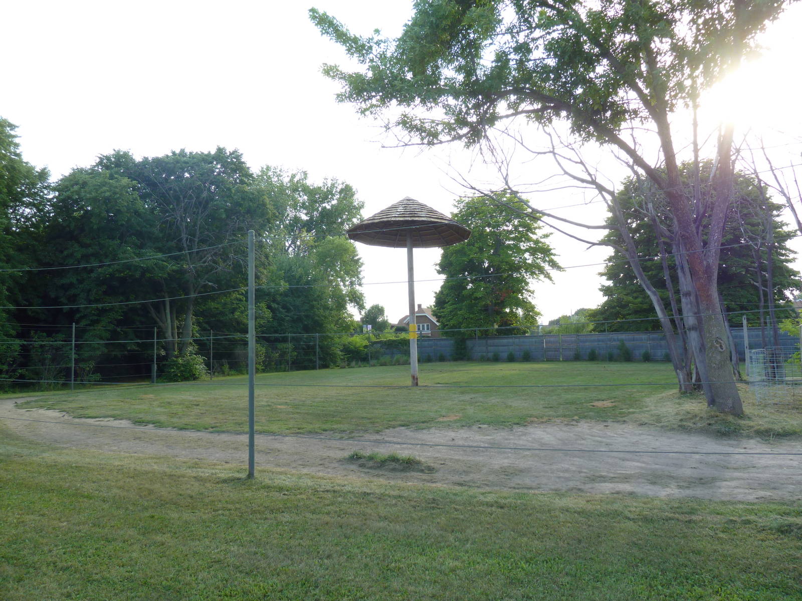 Land of the Giants - Masai Giraffe Exhibit