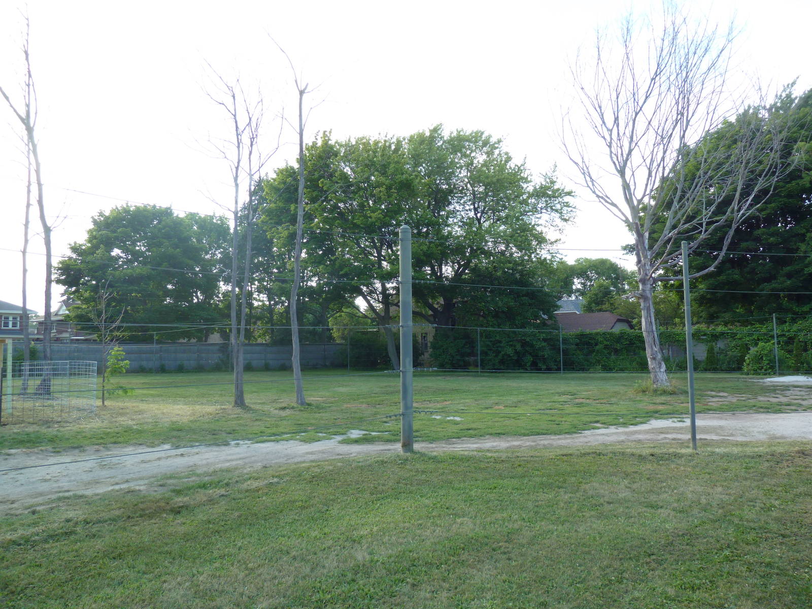 Land of the Giants - Masai Giraffe Exhibit