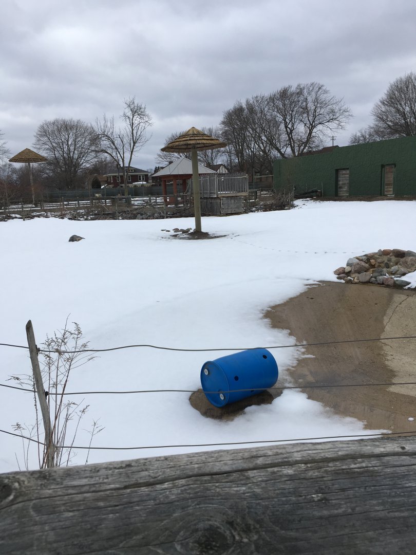 Land of the Giants - Mountain Zebra  Exhibit