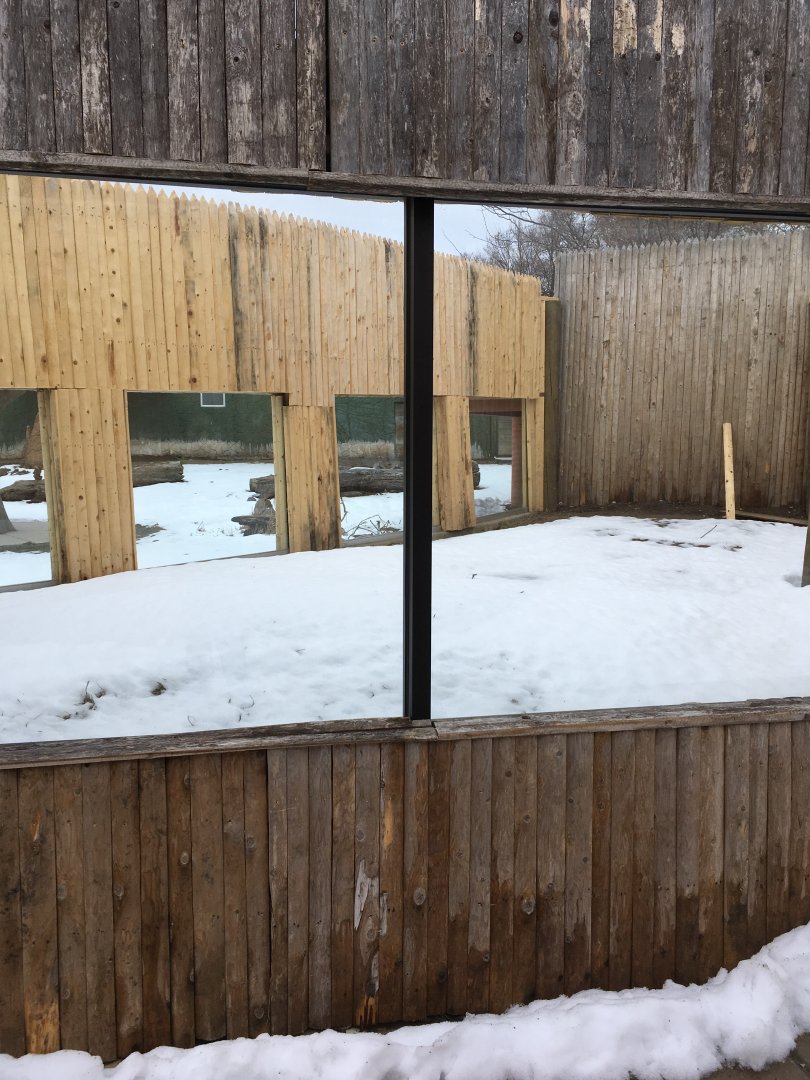 Land of the Giants - Upcoming Exhibit