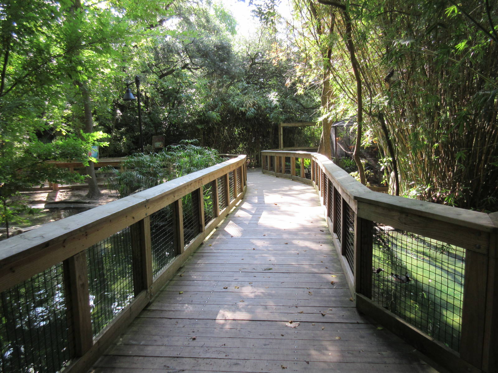 Land of the Jaguar - Visitor Pathway