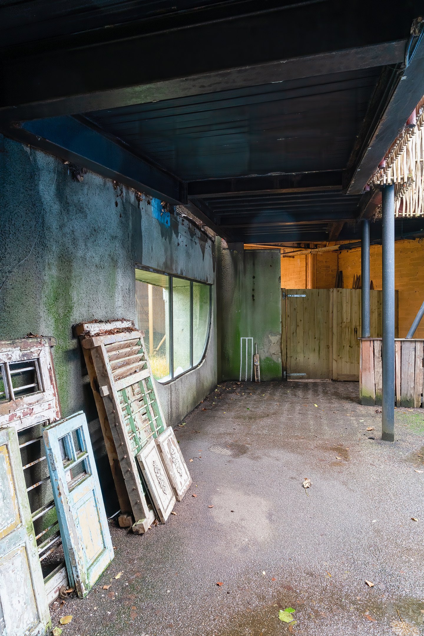 Land of the Lions - 15/11/2019