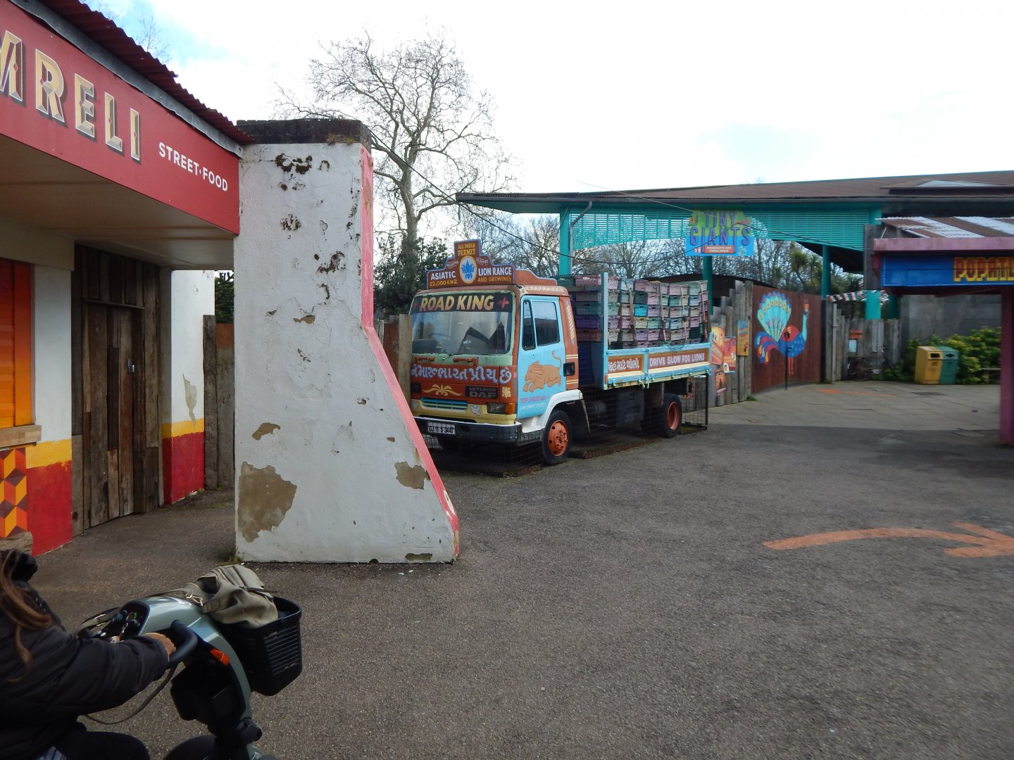 Land of the Lions 180322