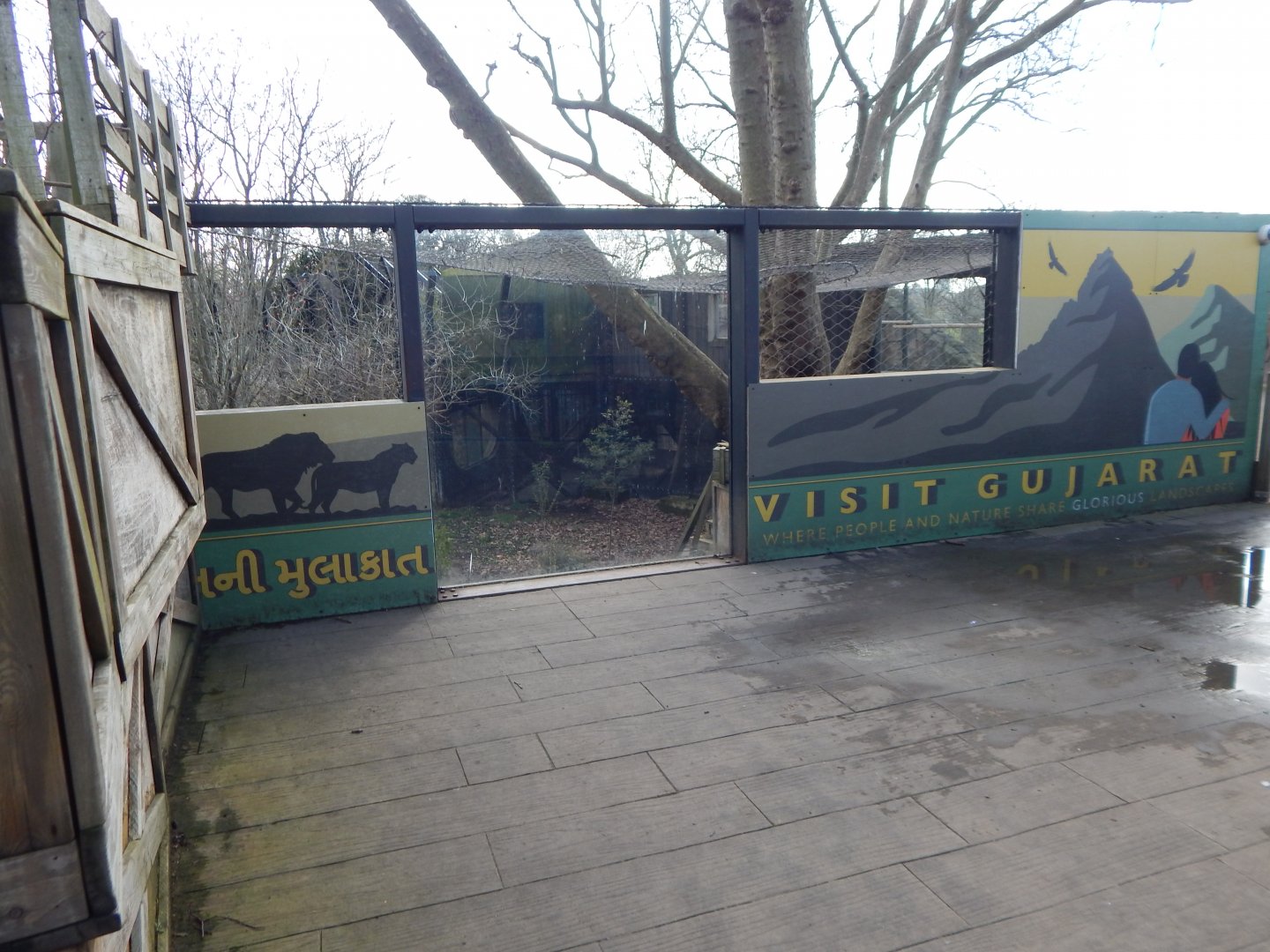 Land of the Lions 180322