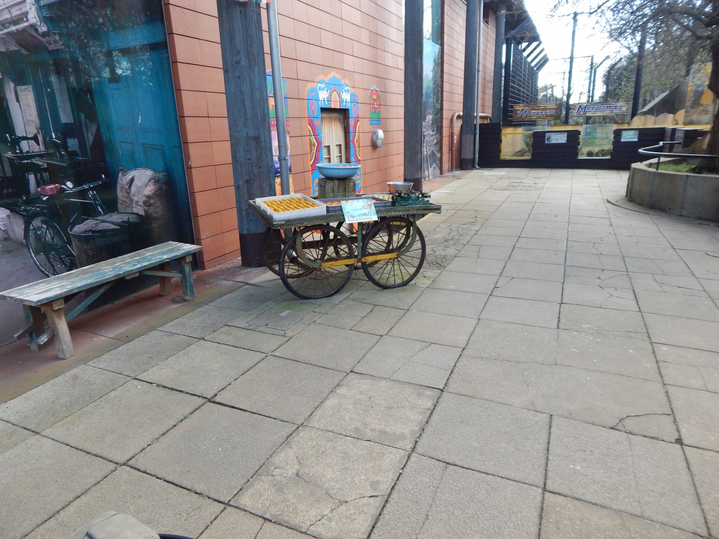 Land of the Lions 180322