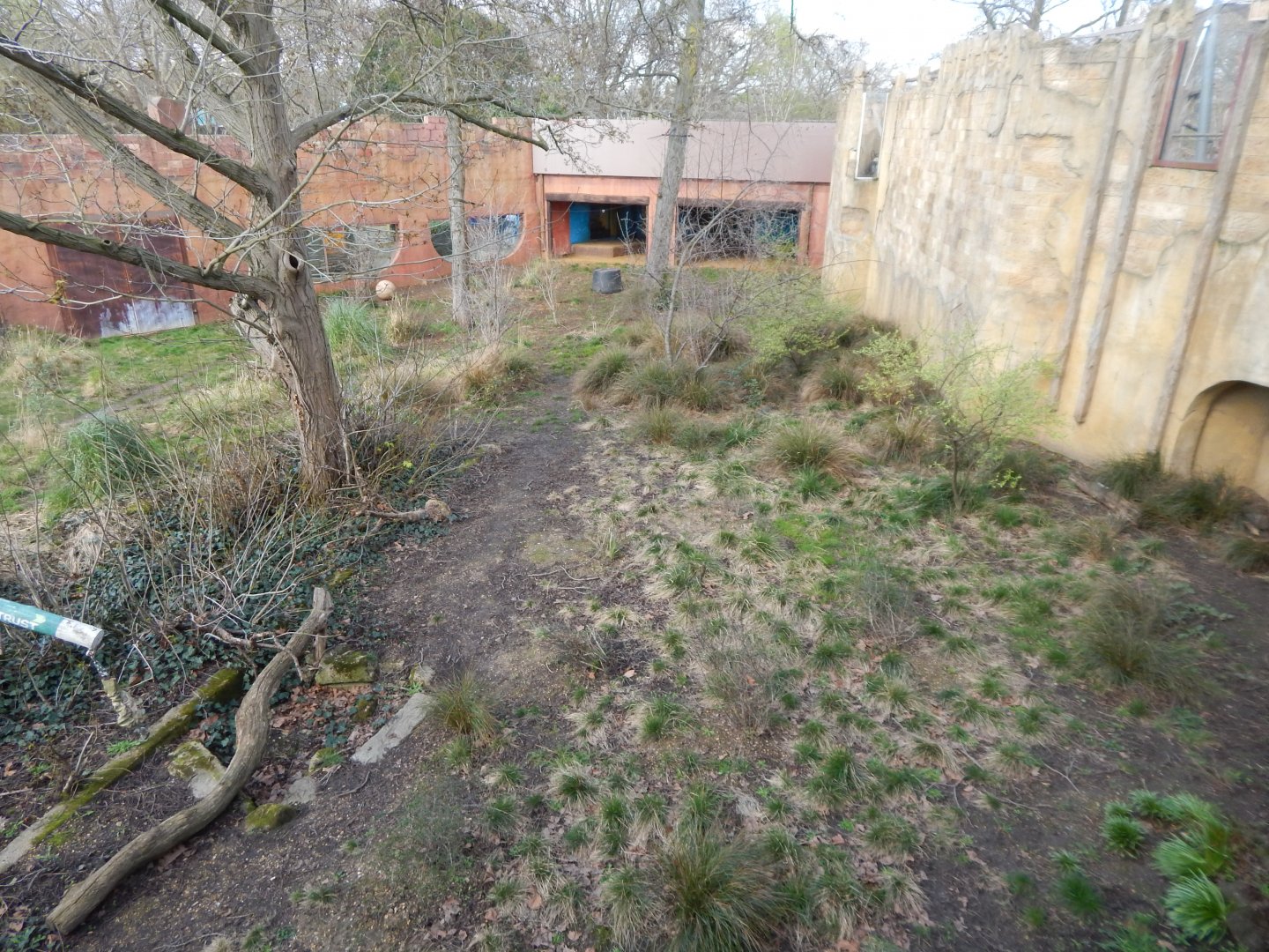Land of the Lions - Asiatic lion exhibit 180322