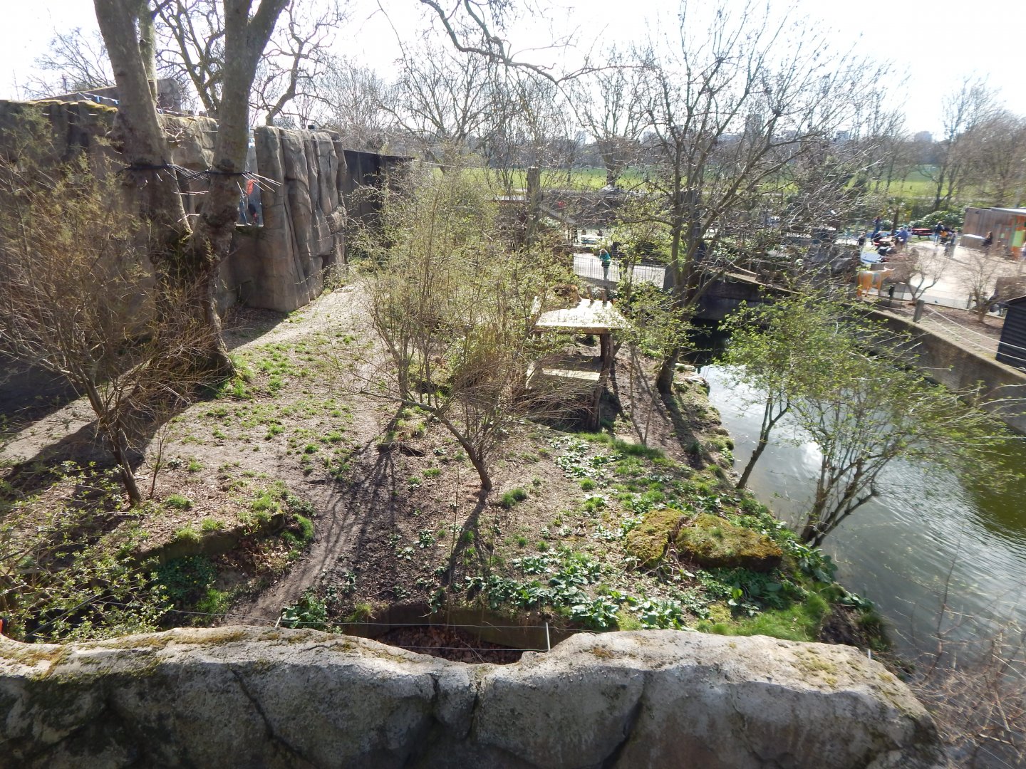 Land of the Lions - Asiatic lion exhibit 180322