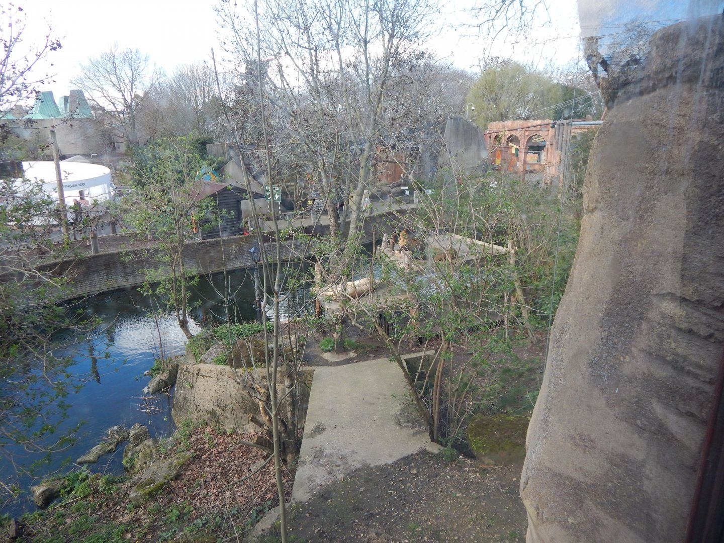 Land of the Lions - Asiatic lion exhibit 180322