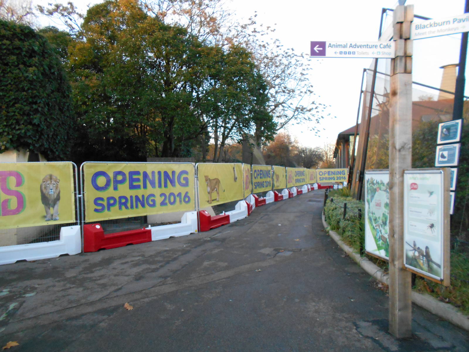 Land of the Lions barriers 6/12/14