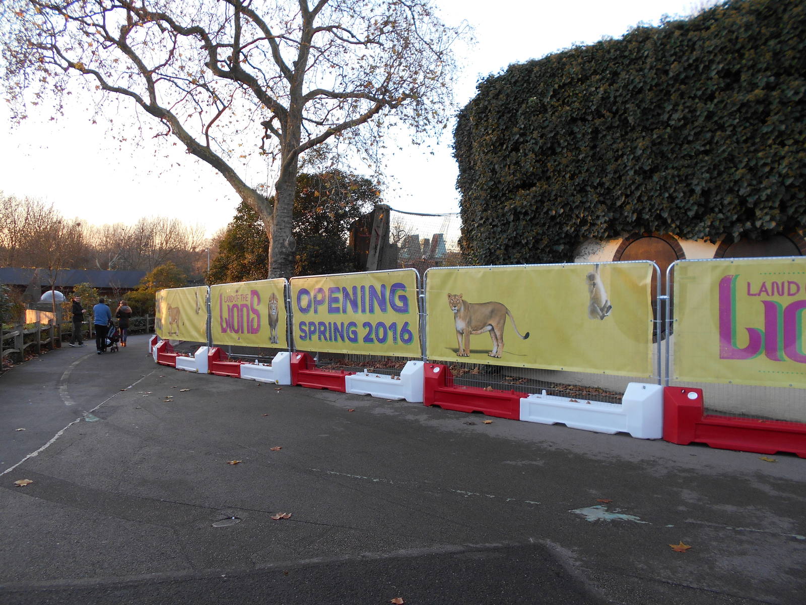 Land of the Lions barriers 6/12/14