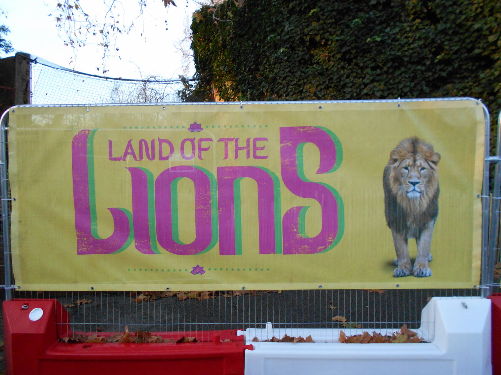 Land of the Lions barriers 6/12/14