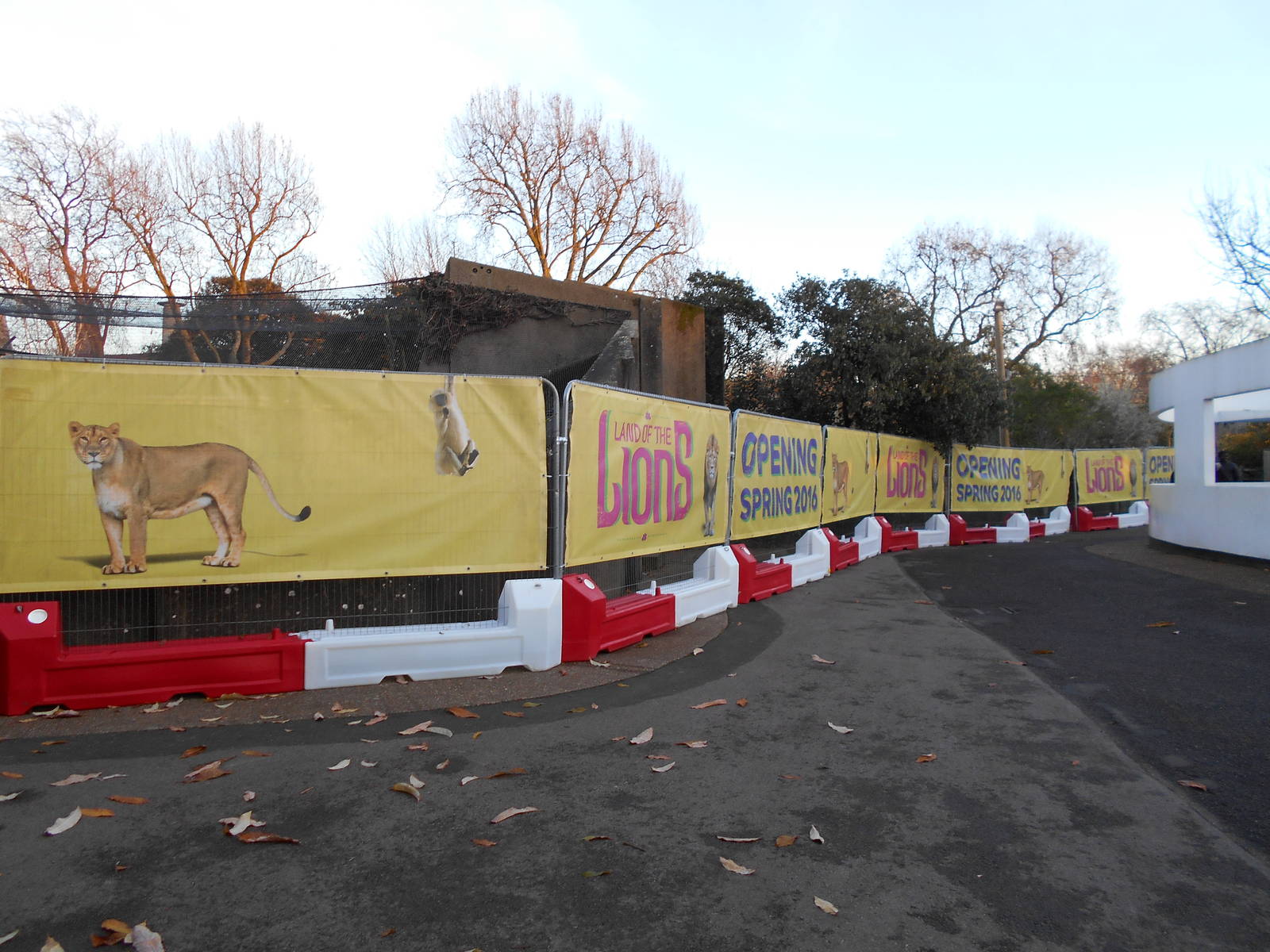 Land of the Lions barriers 6/12/14