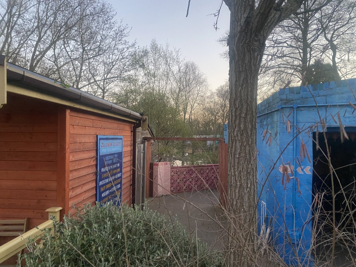 Land of the Lions (early morning) 190322