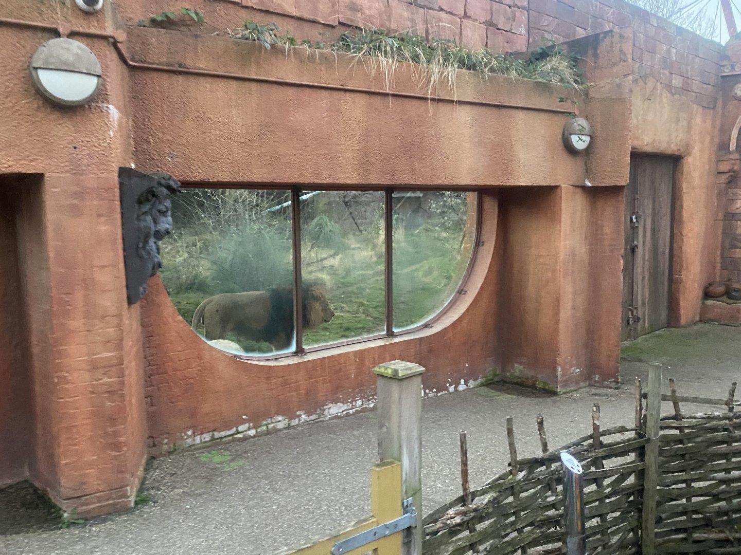 Land of the Lions (early morning) 190322