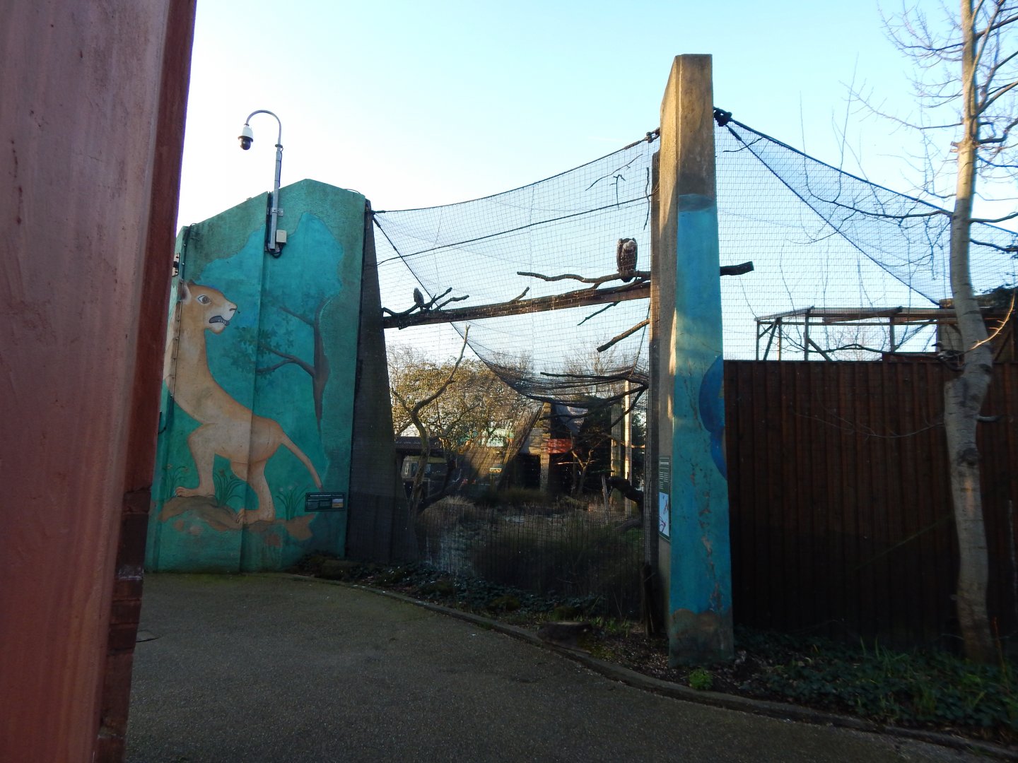 Land of the Lions (early morning) 190322