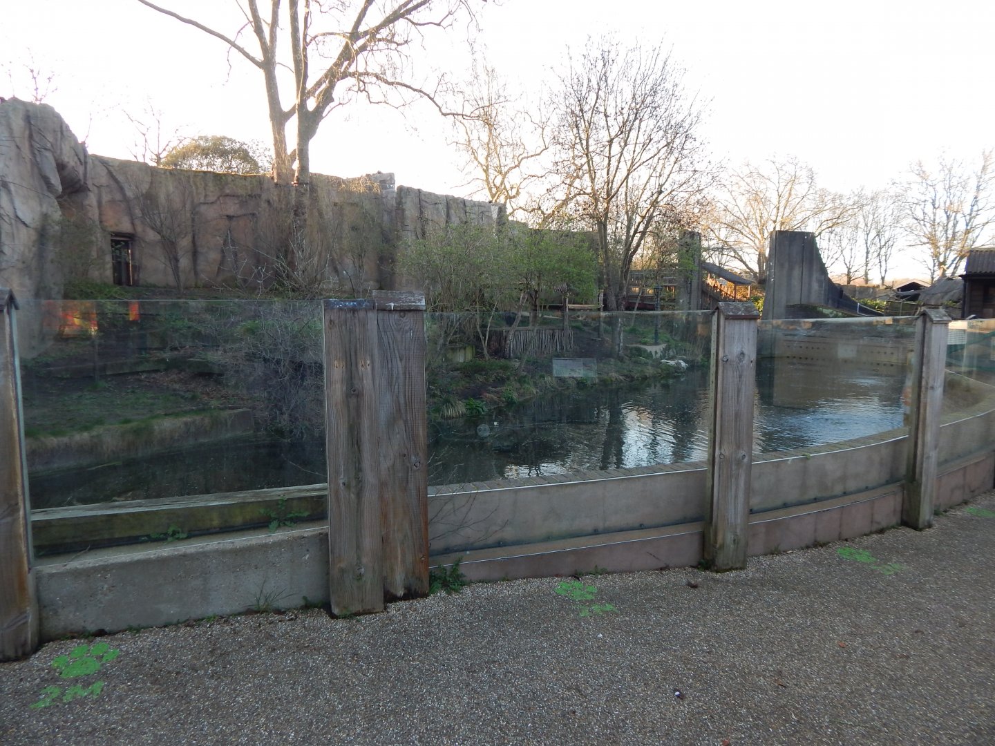 Land of the Lions (early morning) 190322