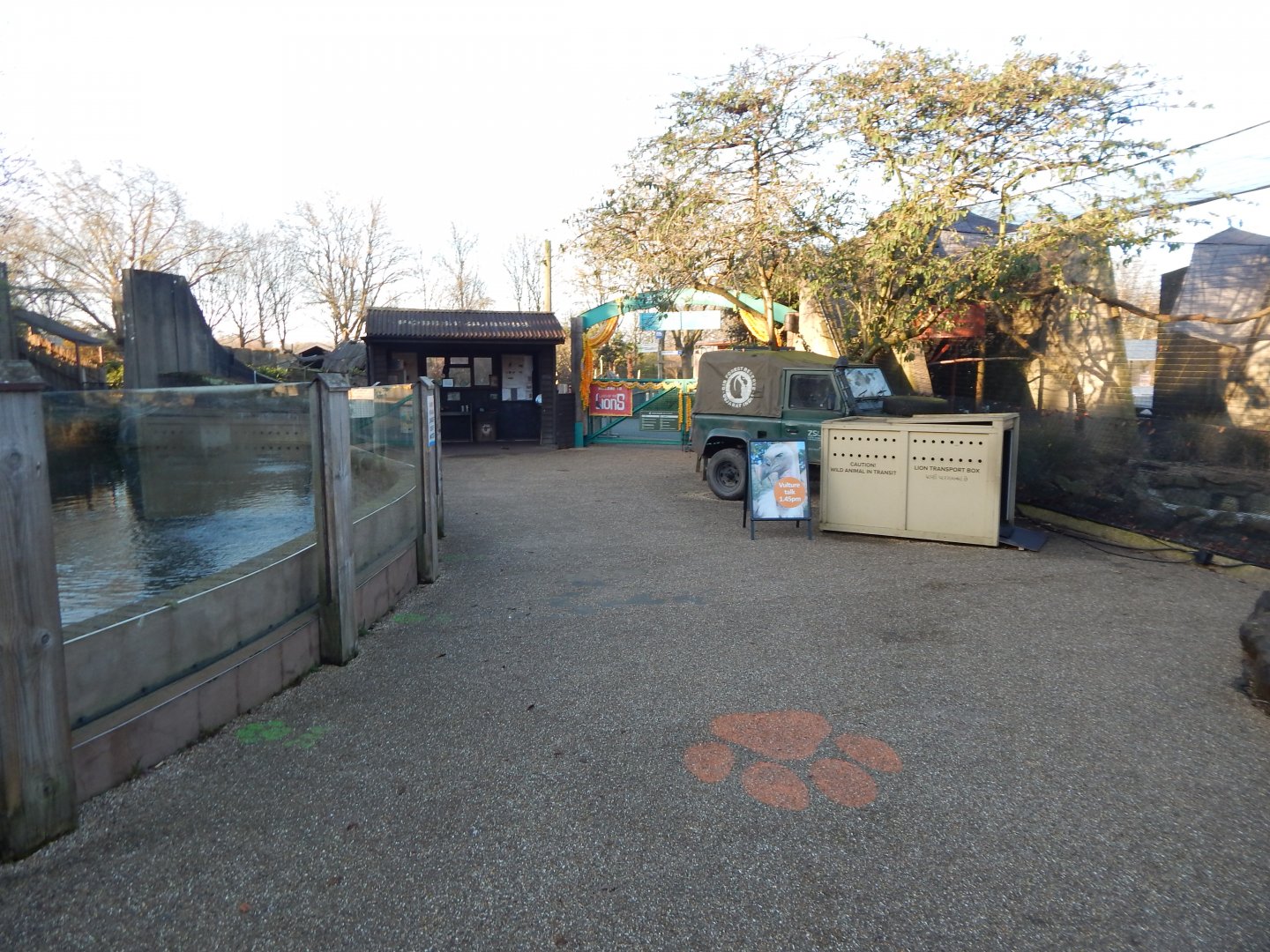 Land of the Lions (early morning) 190322