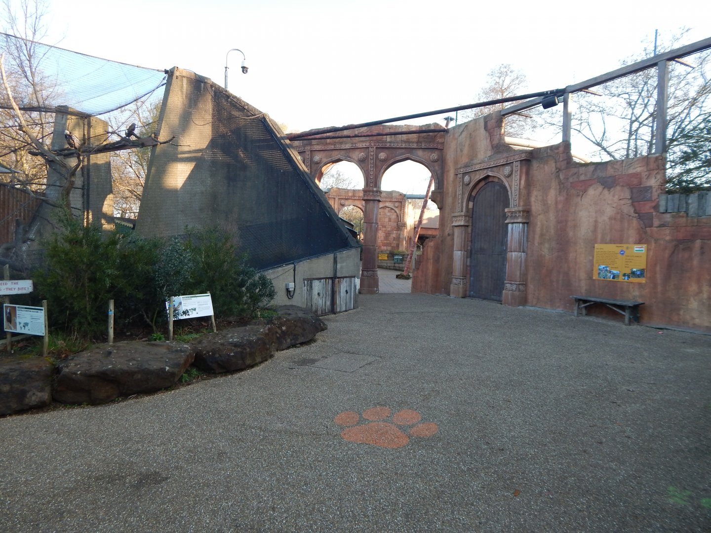 Land of the Lions (early morning) 190322