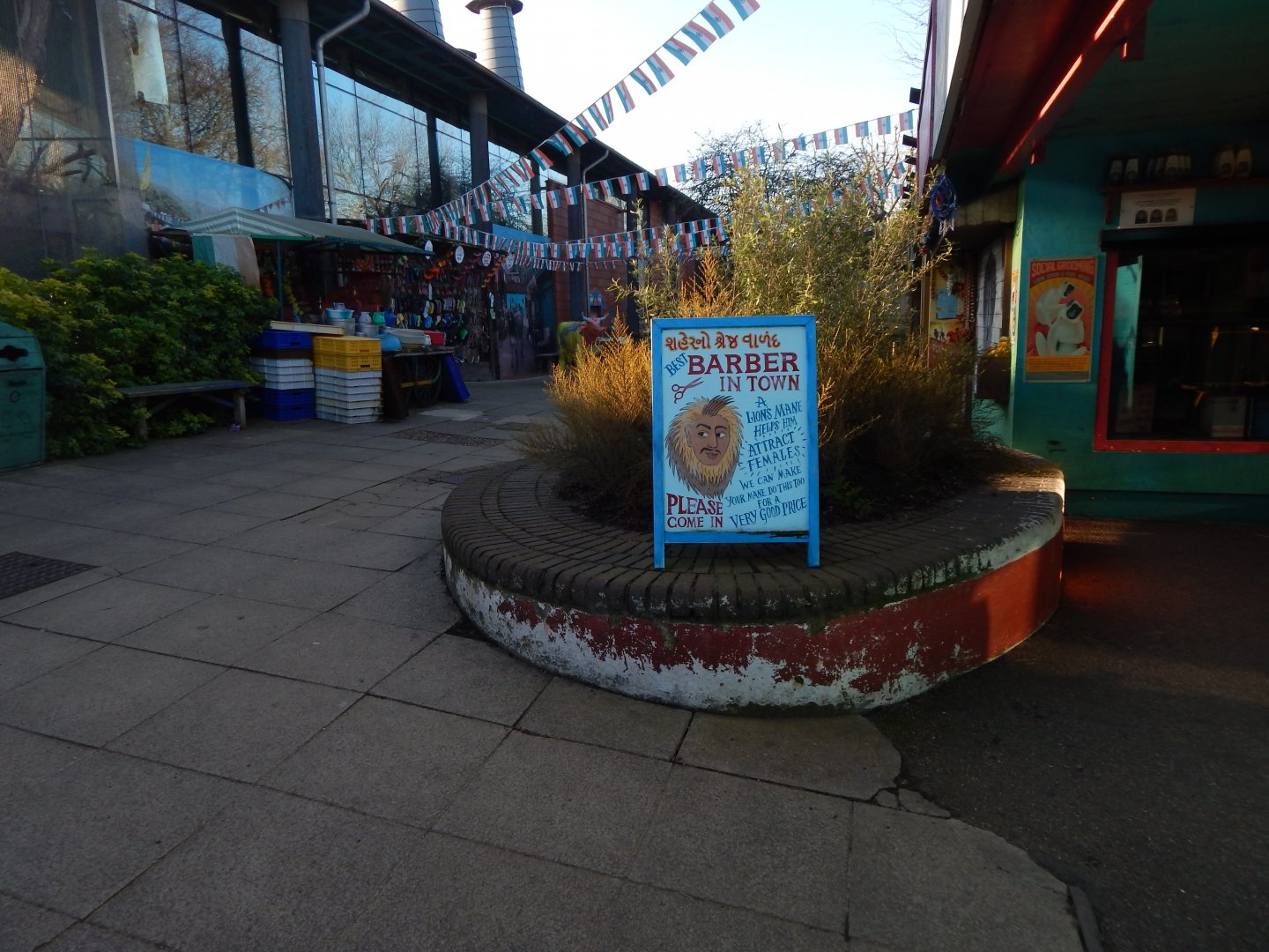 Land of the Lions (early morning) 190322