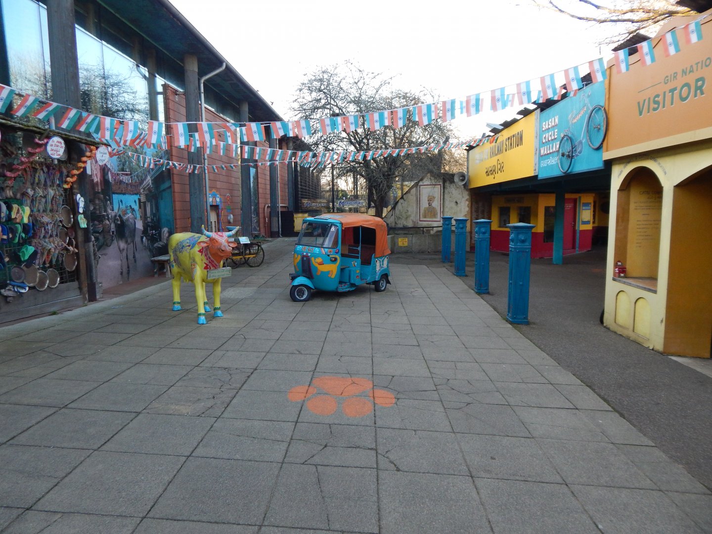 Land of the Lions (early morning) 190322