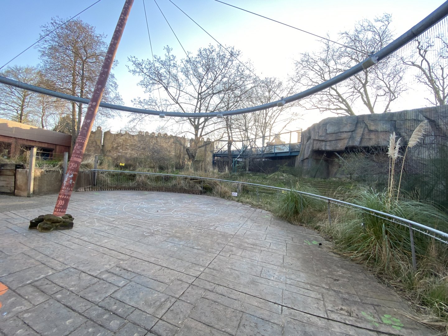 Land of the Lions (early morning) 190322