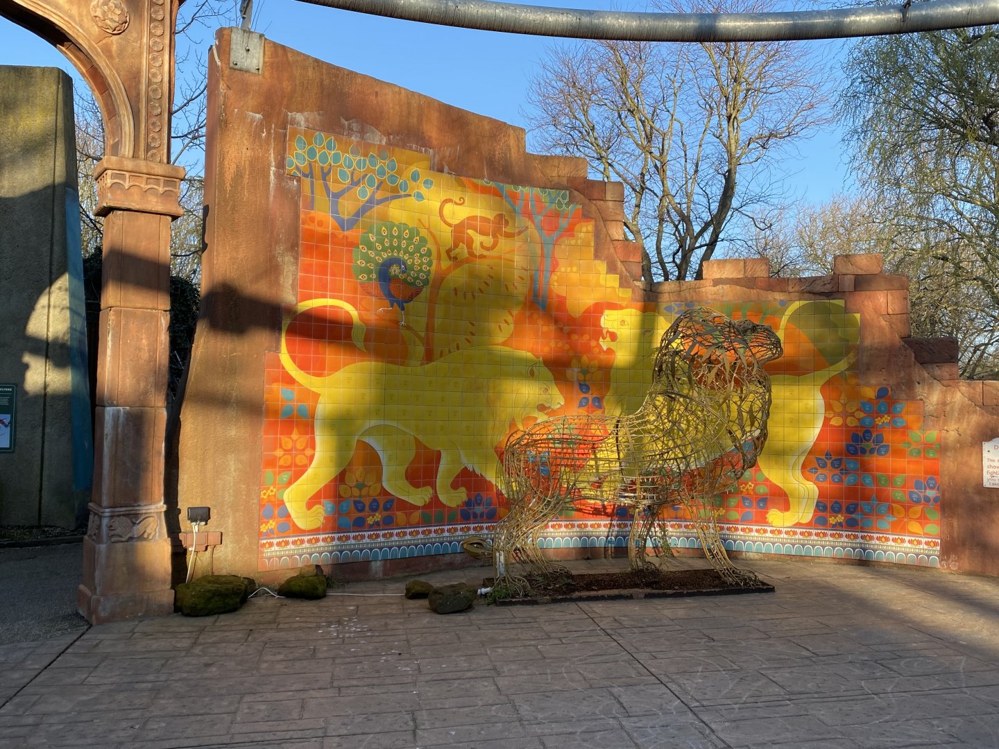 Land of the Lions (early morning) 190322