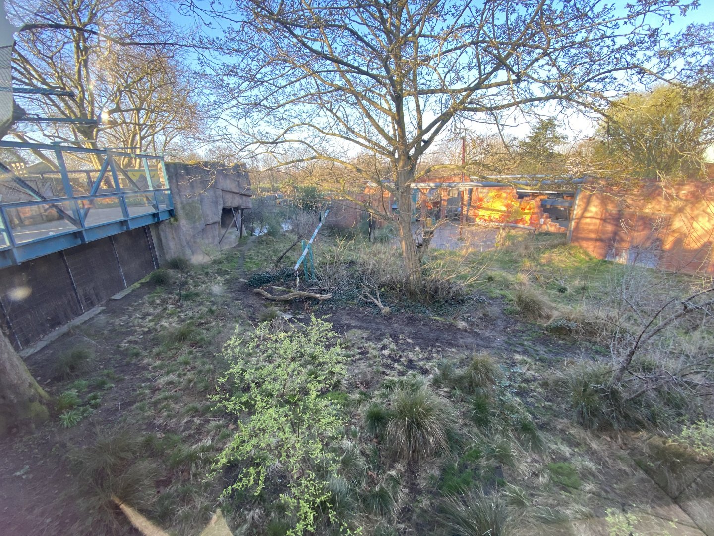 Land of the Lions (early morning) 190322