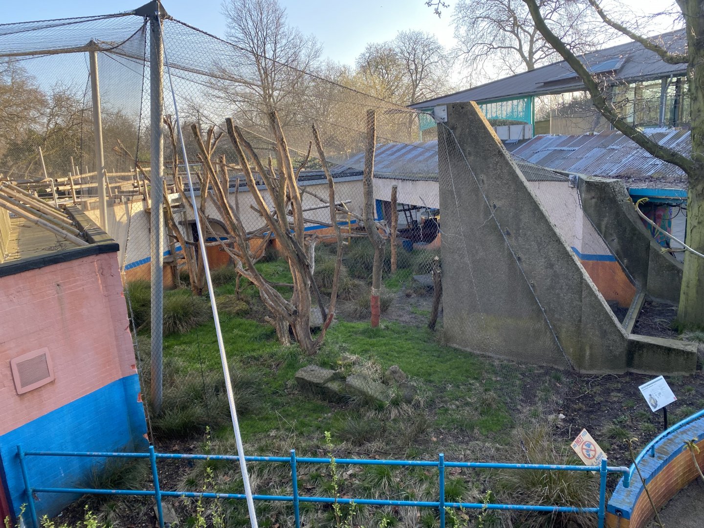 Land of the Lions (early morning) - Grey langur exhibit 190322