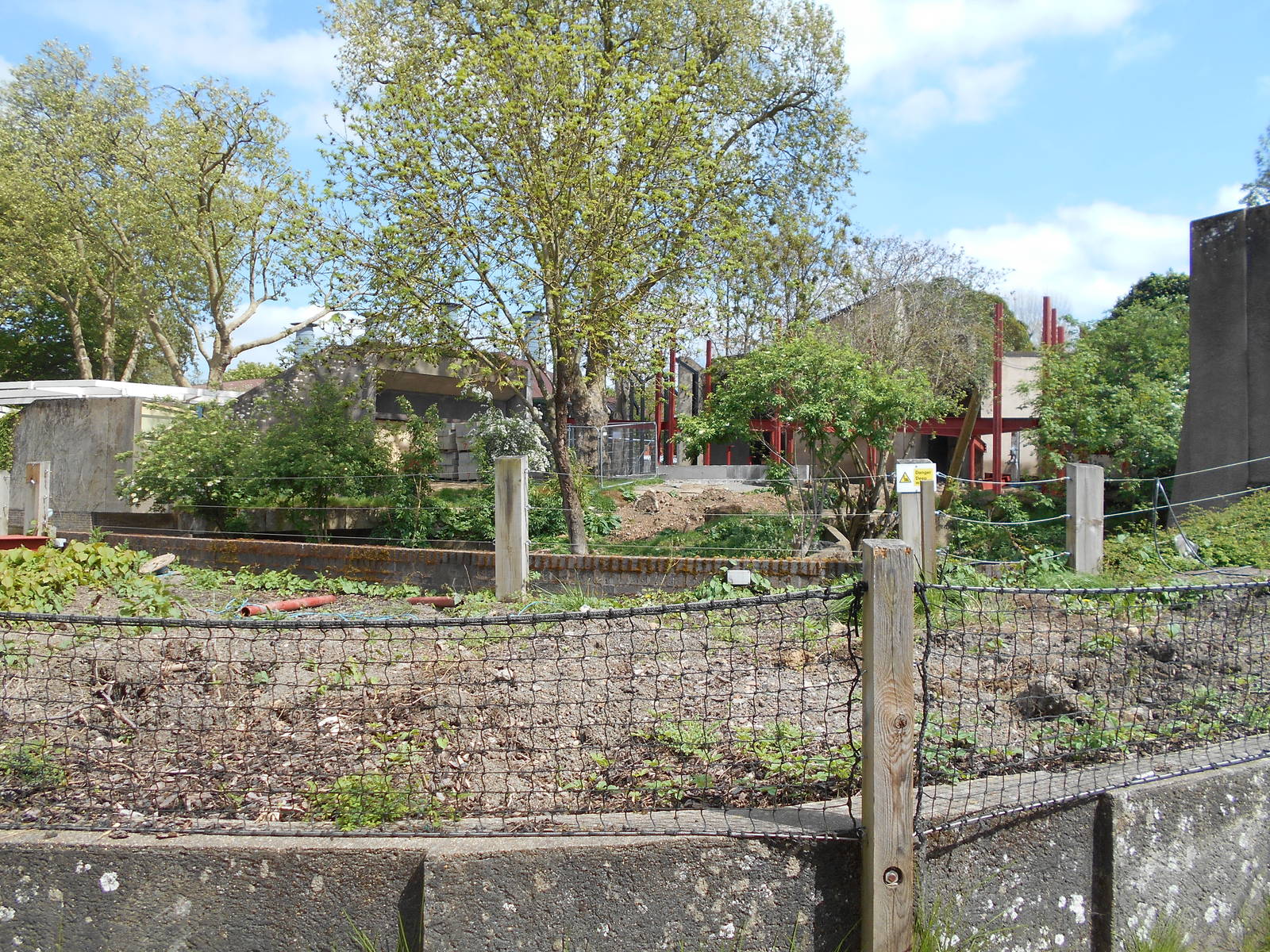 Land of the Lions progress - 10/05/2015