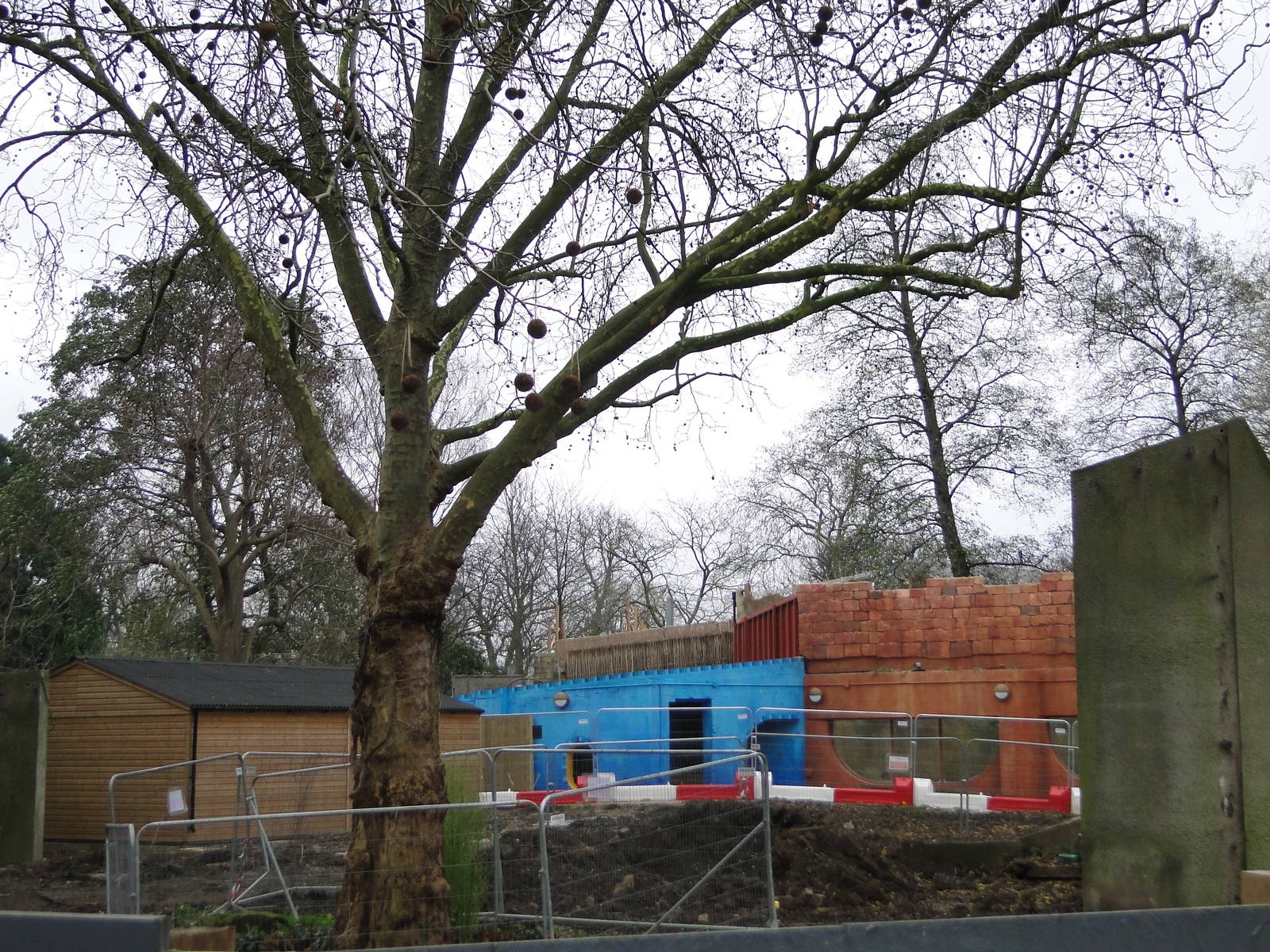 Land of the Lions Sunday 27th December 2015 - 1 of 25