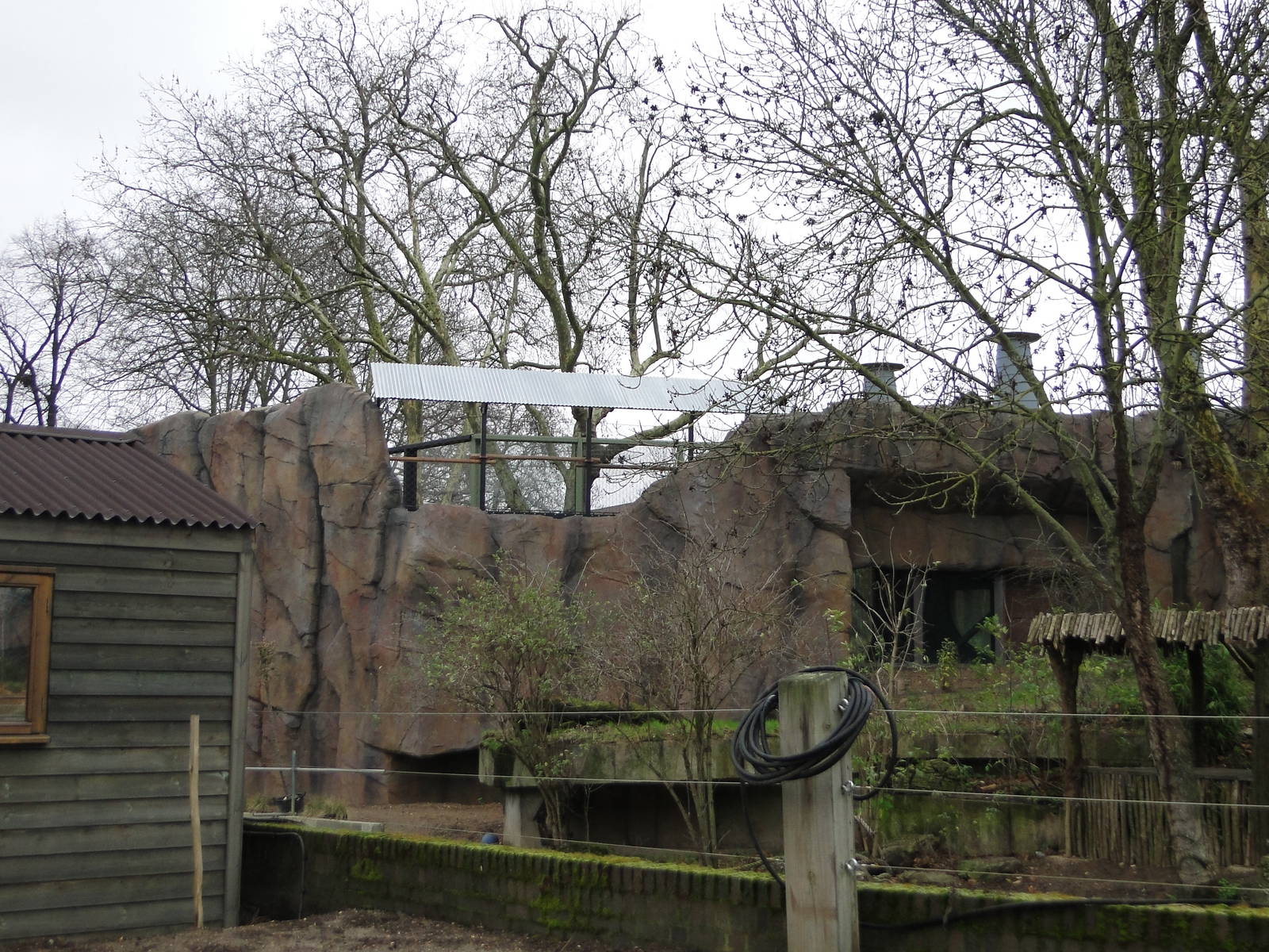 Land of the Lions Sunday 27th December 2015 - 10 of 25