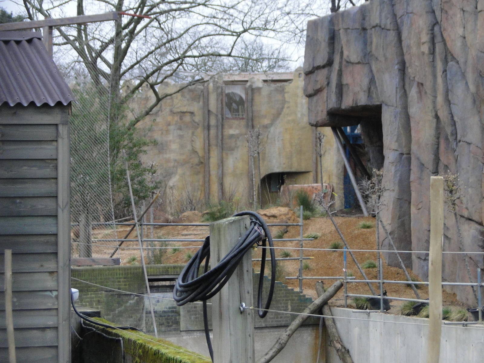 Land of the Lions Sunday 27th December 2015 - 12 of 25