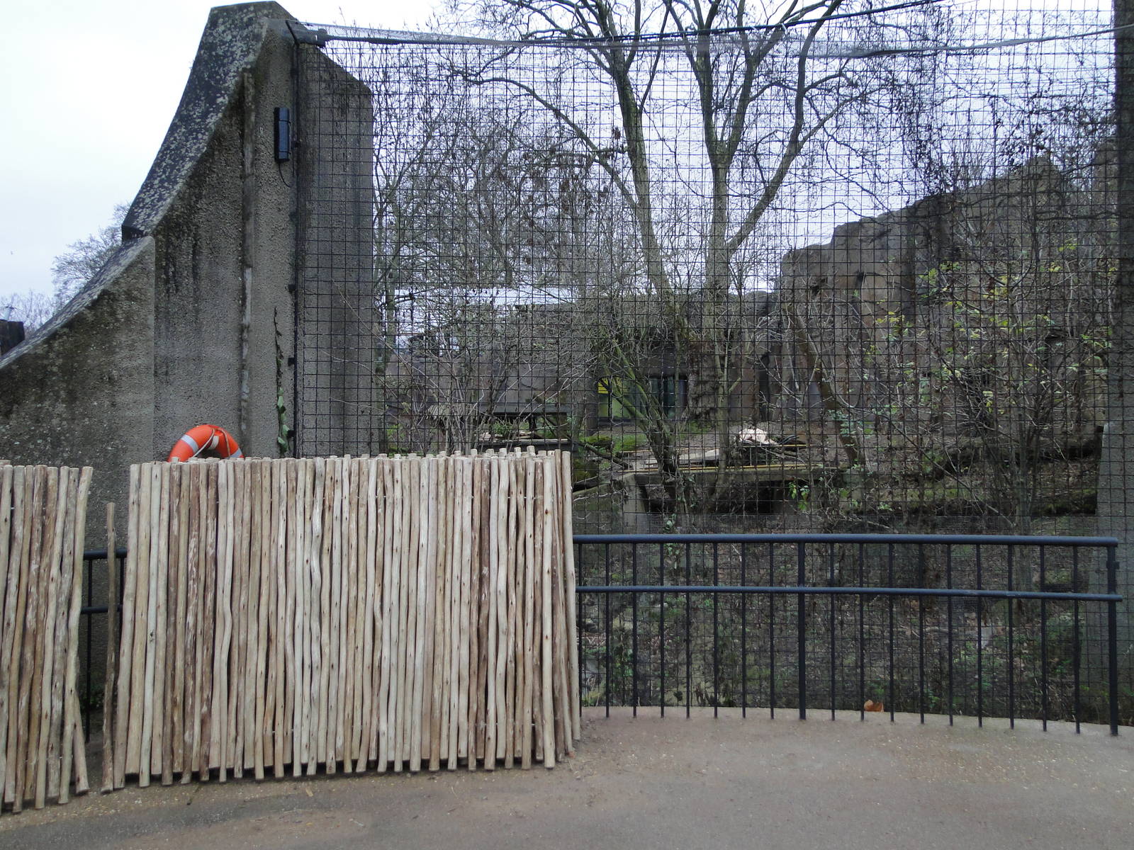 Land of the Lions Sunday 27th December 2015 - 13 of 25