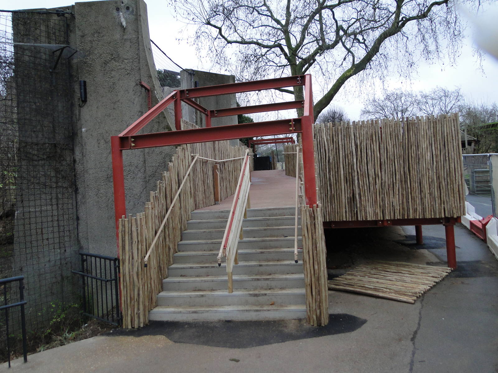 Land of the Lions Sunday 27th December 2015 - 14 of 25