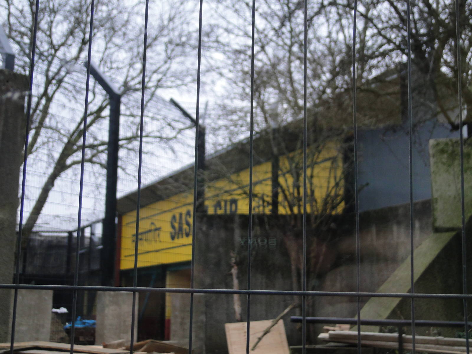 Land of the Lions Sunday 27th December 2015 - 16 of 25