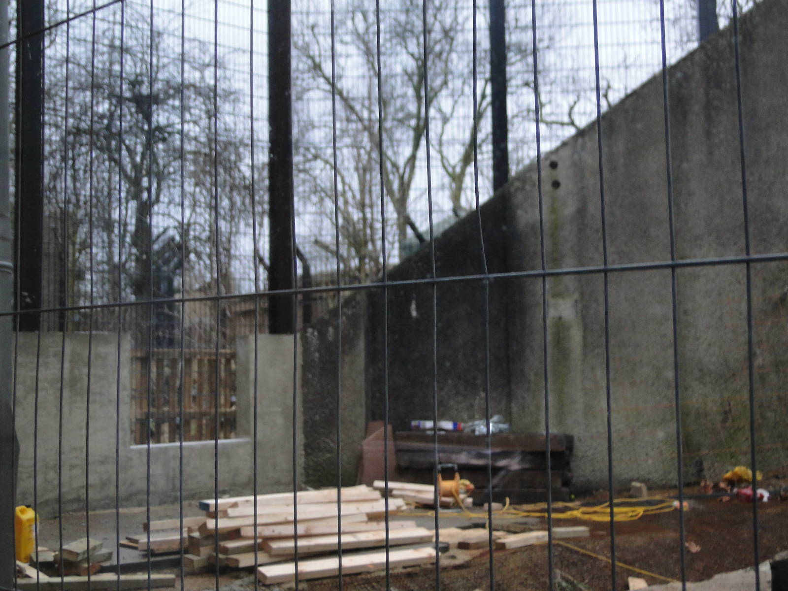 Land of the Lions Sunday 27th December 2015 - 17 of 25