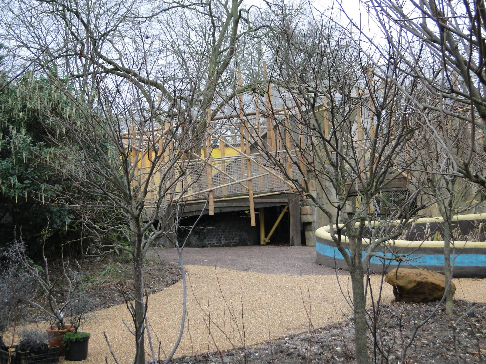 Land of the Lions Sunday 27th December 2015 - 22 of 25