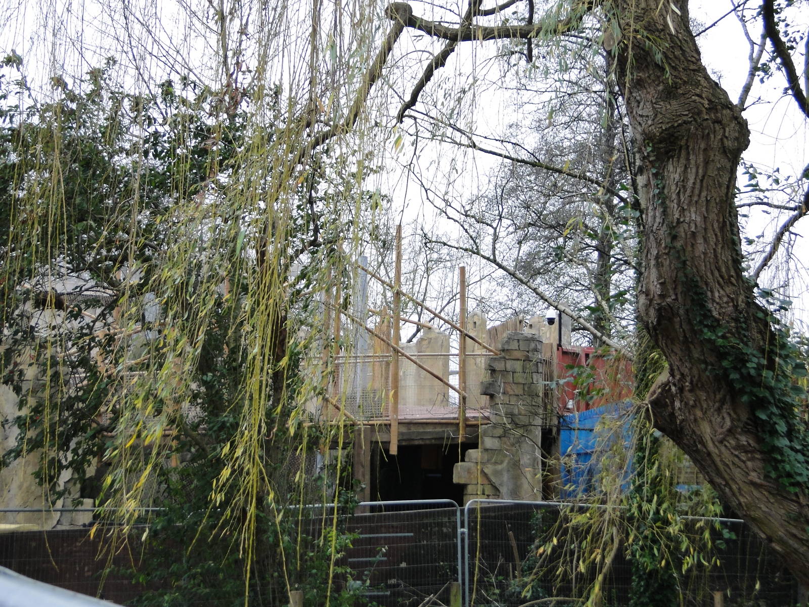 Land of the Lions Sunday 27th December 2015 - 24 of 25