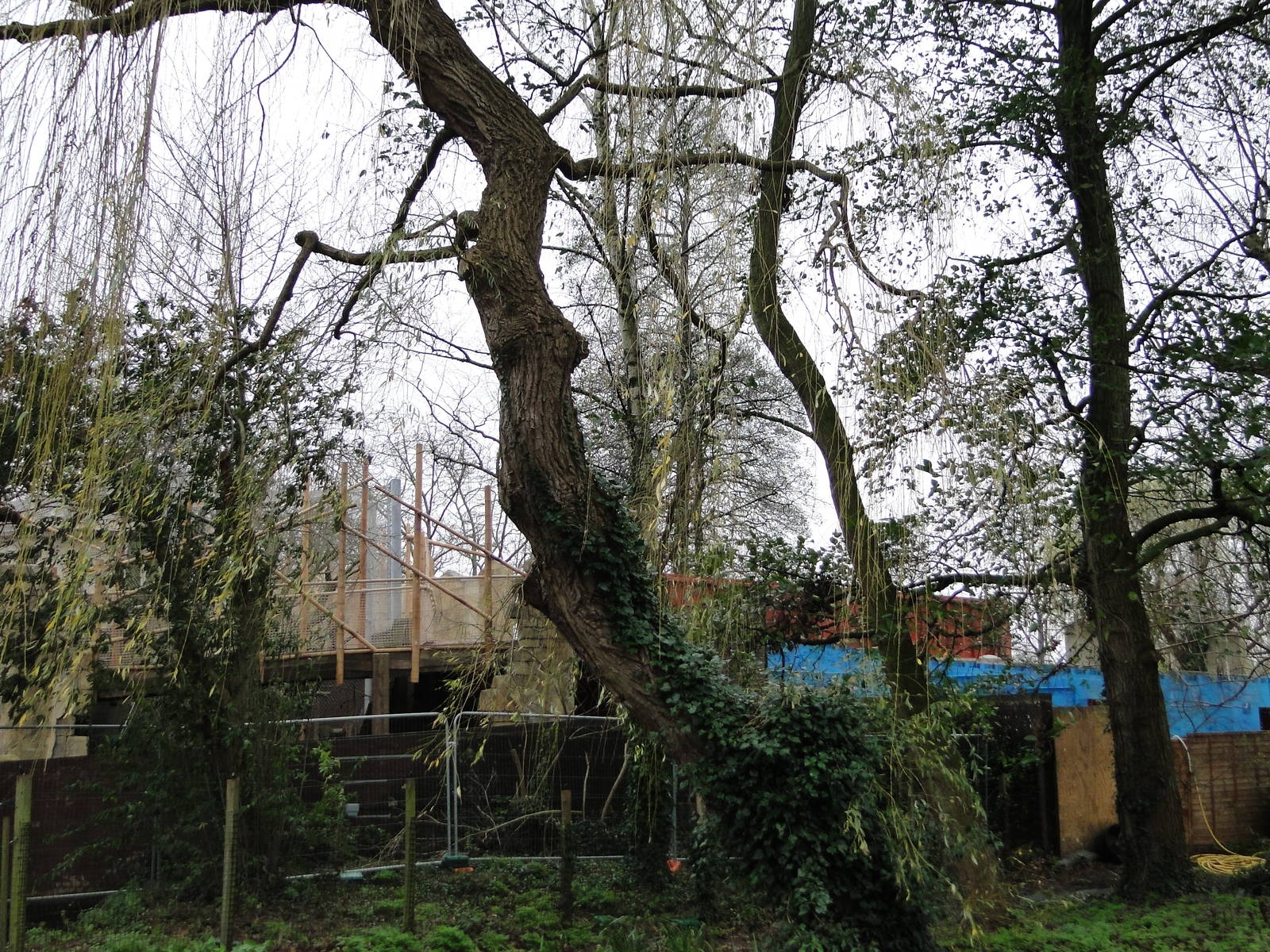 Land of the Lions Sunday 27th December 2015 - 25 of 25