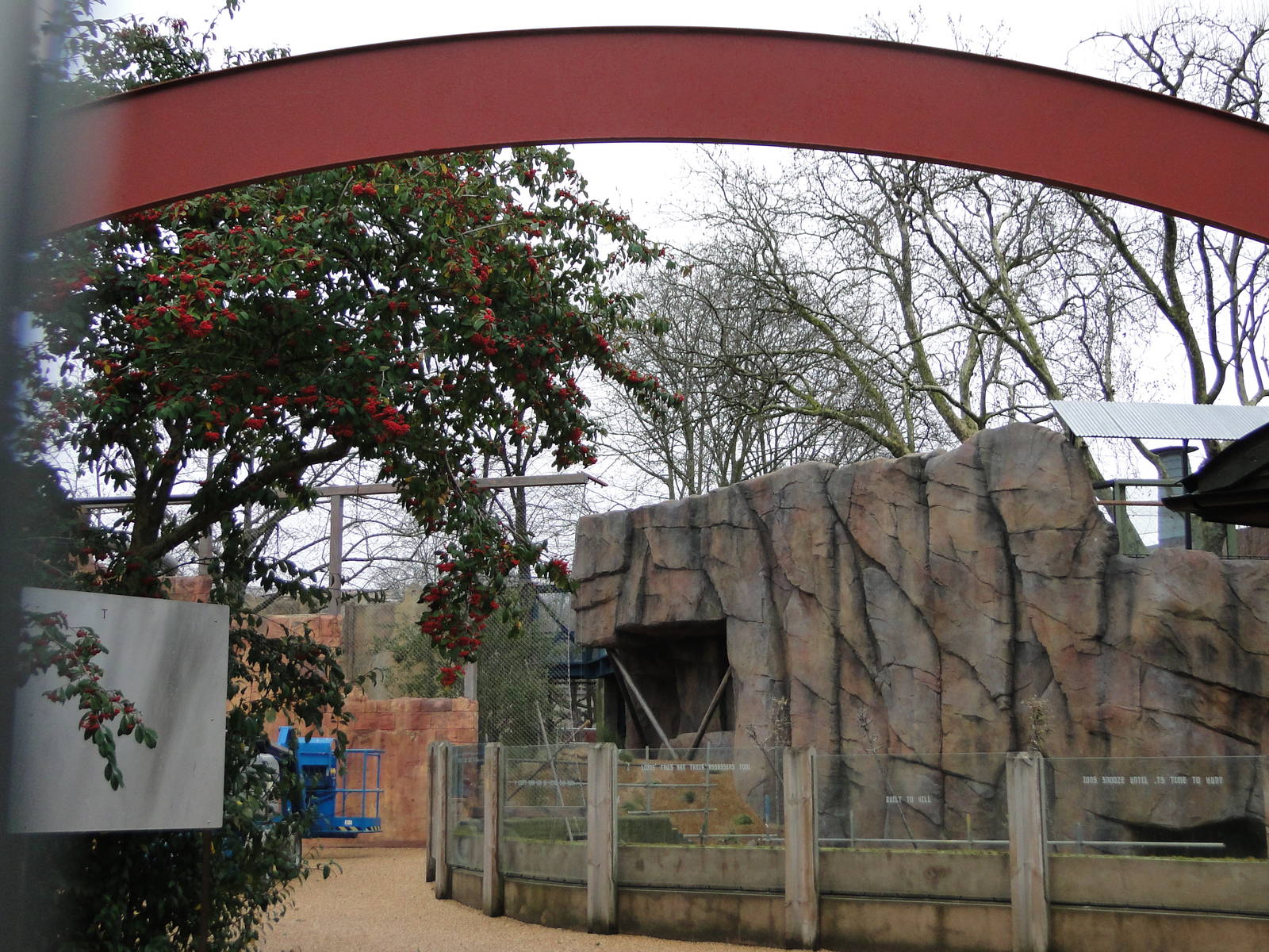 Land of the Lions Sunday 27th December 2015 - 4 of 25