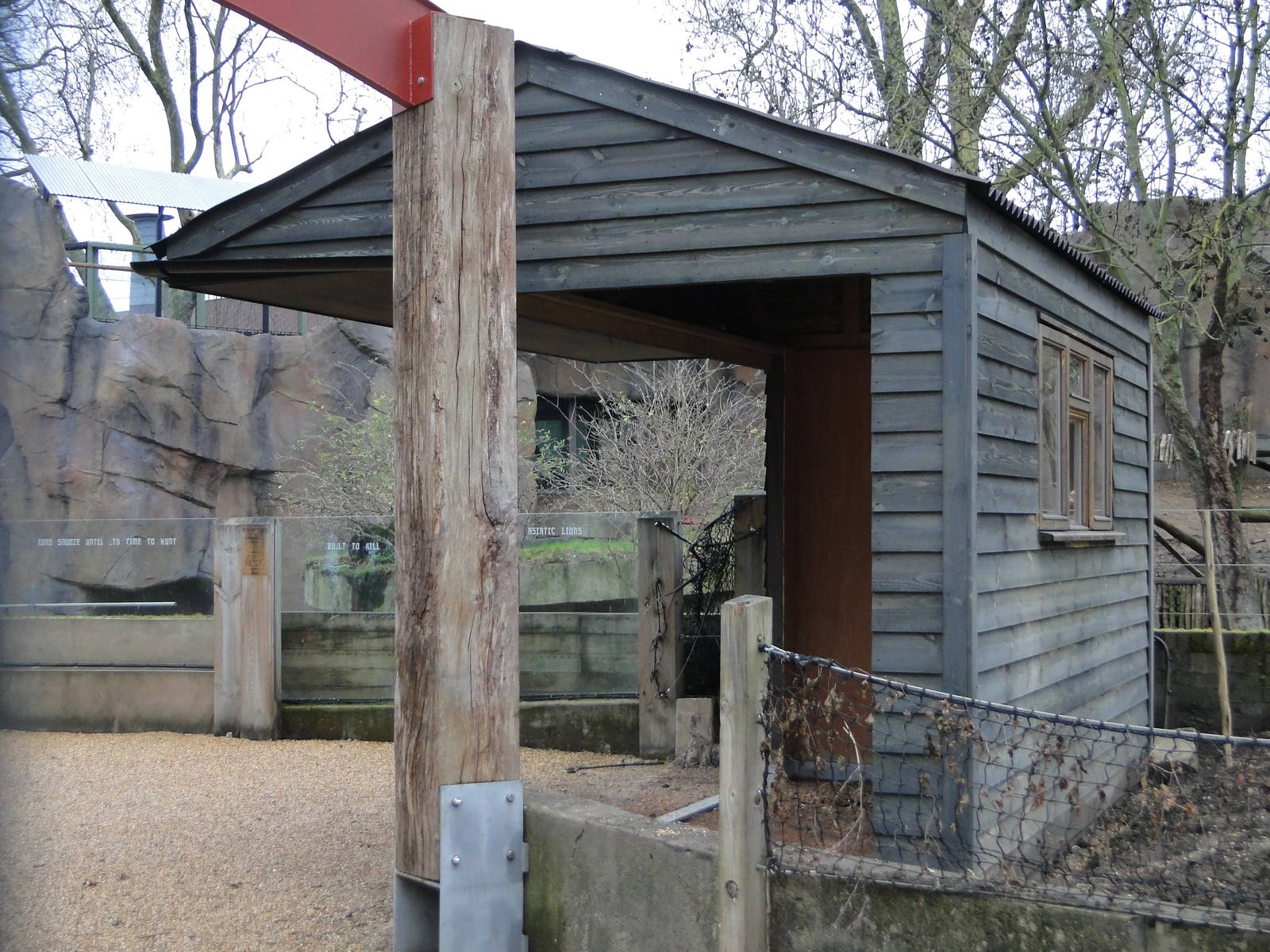 Land of the Lions Sunday 27th December 2015 - 5 of 25