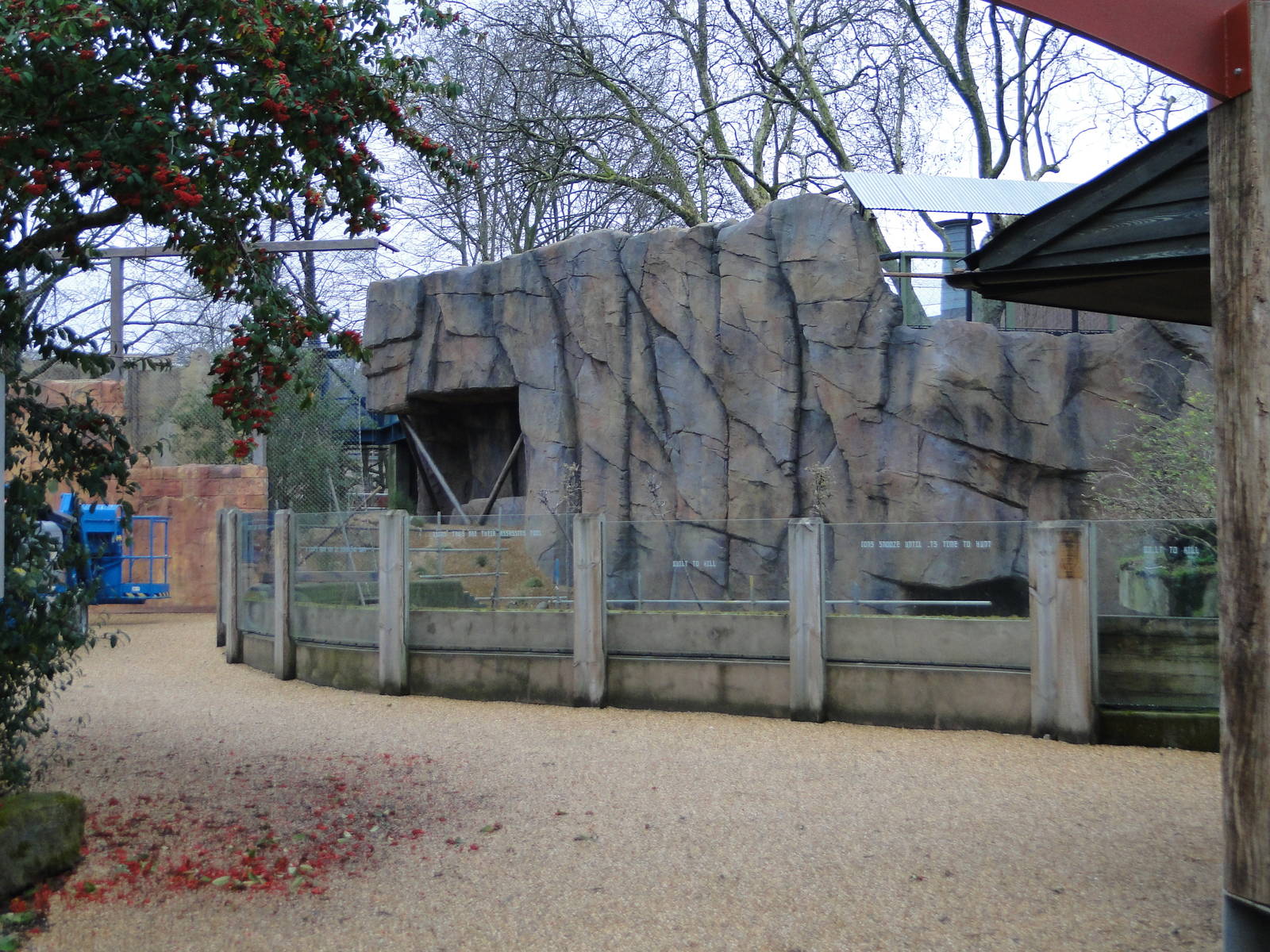 Land of the Lions Sunday 27th December 2015 - 6 of 25