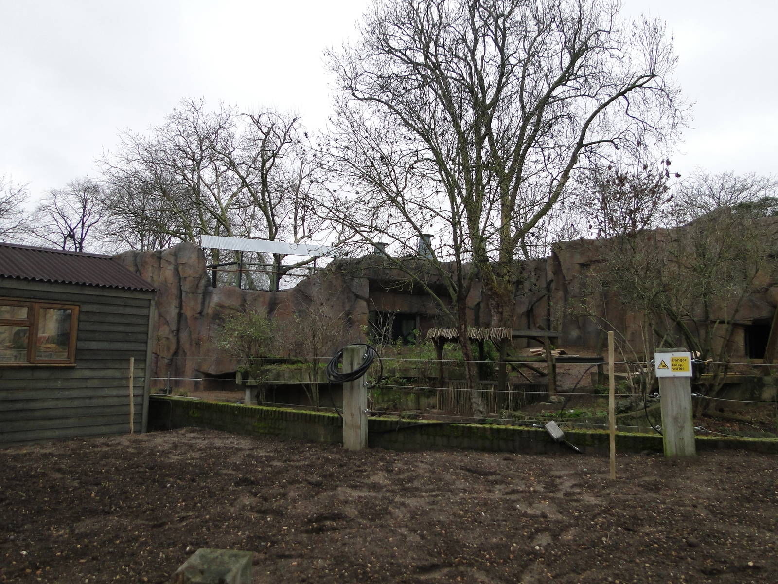 Land of the Lions Sunday 27th December 2015 - 9 of 25