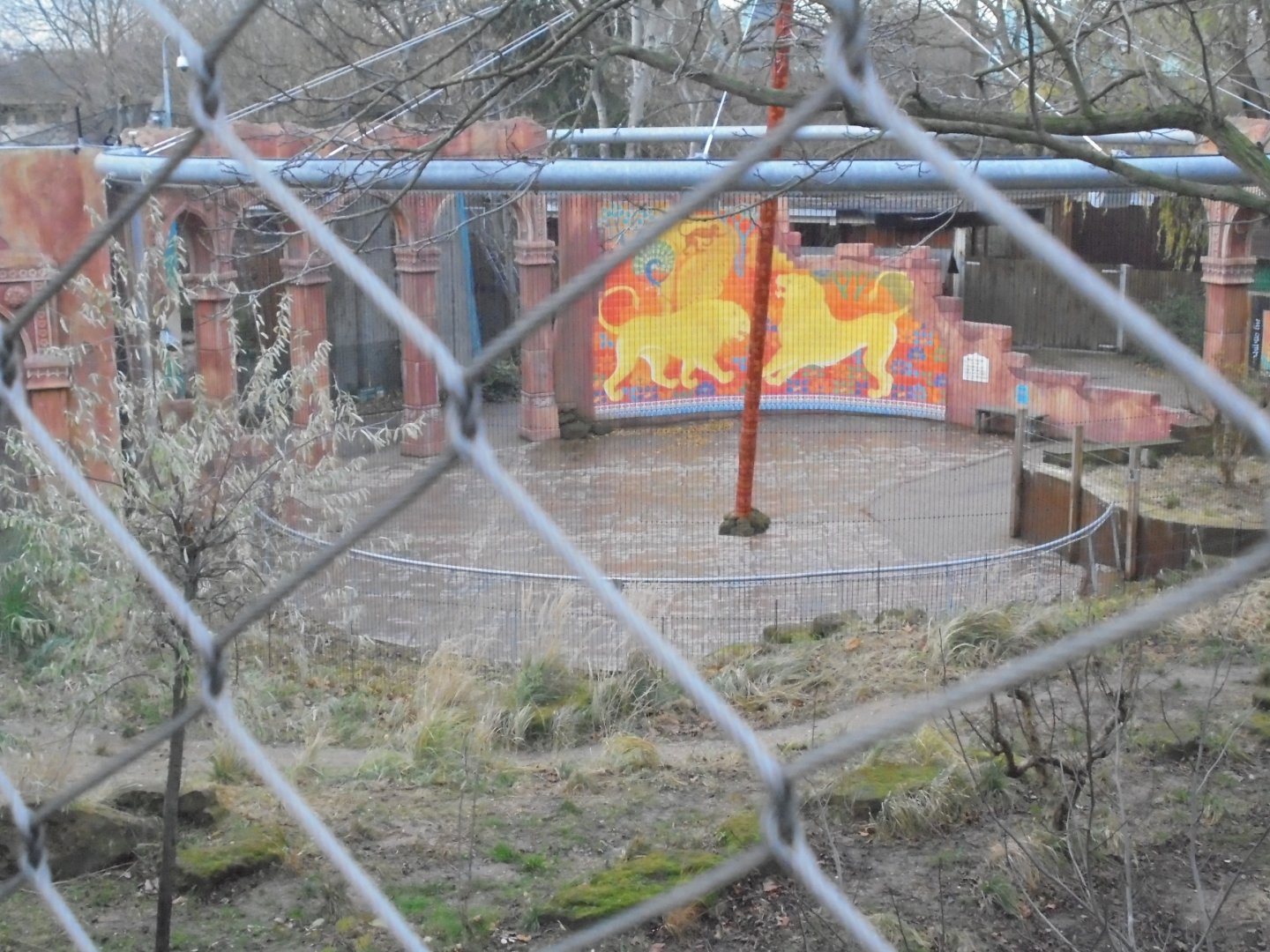 Land of the Lions view.