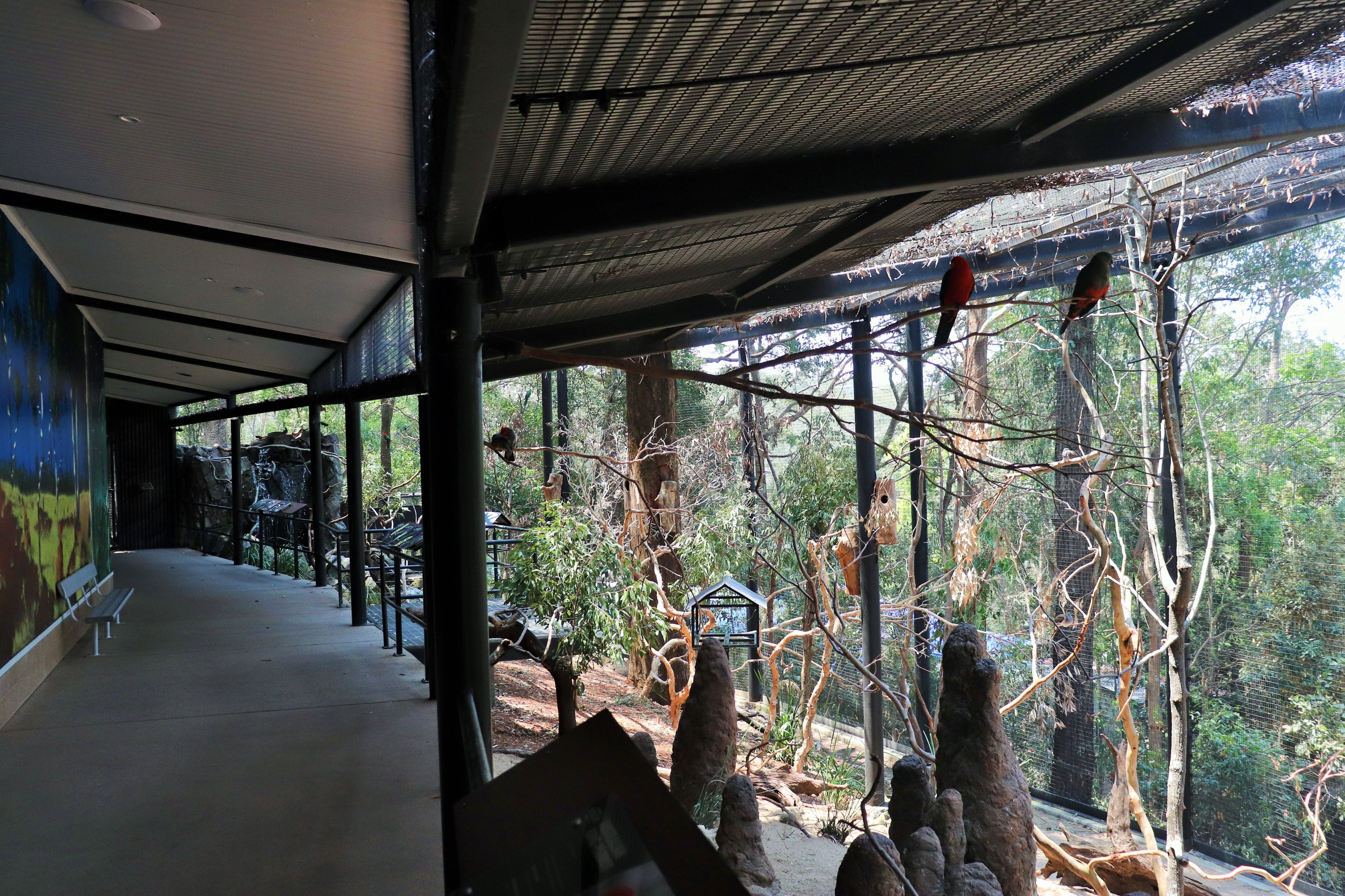 Land of the Parrots Aviary